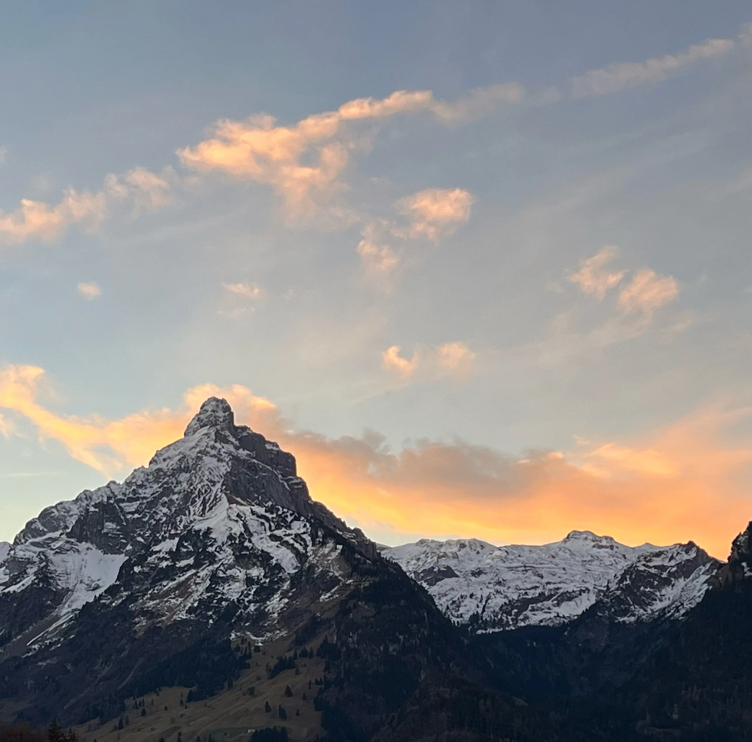 ein neues Jahr, ein neuer Tag