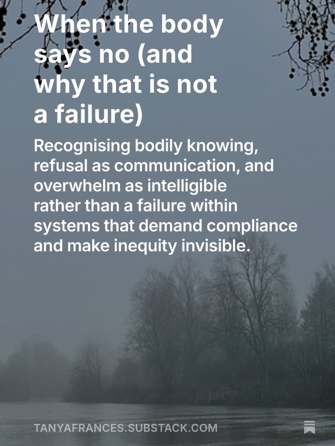 New writing!

When the body says no (and why that is not a failure)

This piece is about recognising bodily knowing, refusal as communication, and overwhelm as intelligible rather than a personal failure, within systems that demand compliance and mak