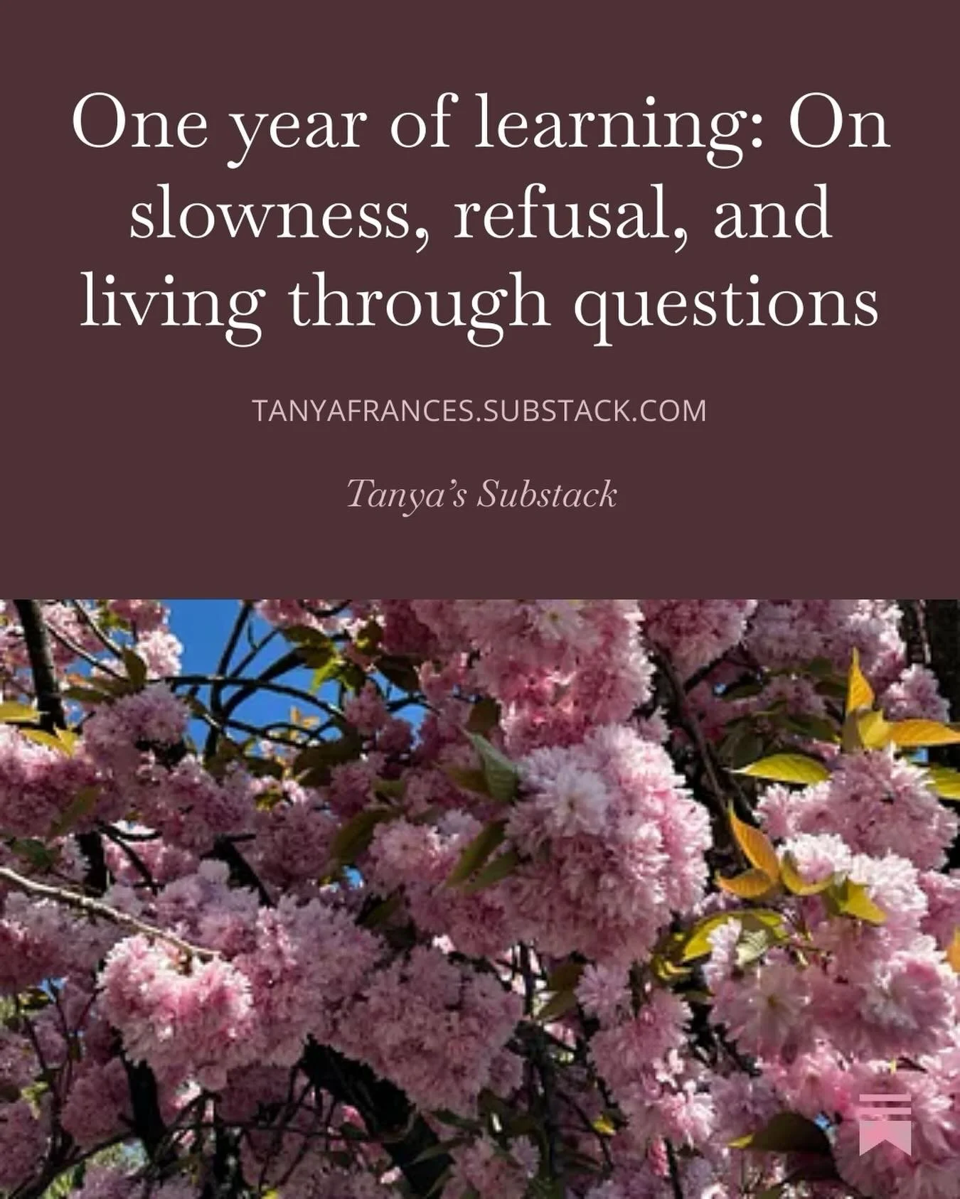 ✨New writing! This is an essay on slowness, refusal, and living through questions.

It&rsquo;s an essay that set out to be a reflection one year after publishing my first book. What it turned out to be is more of a reflection on a year of living life