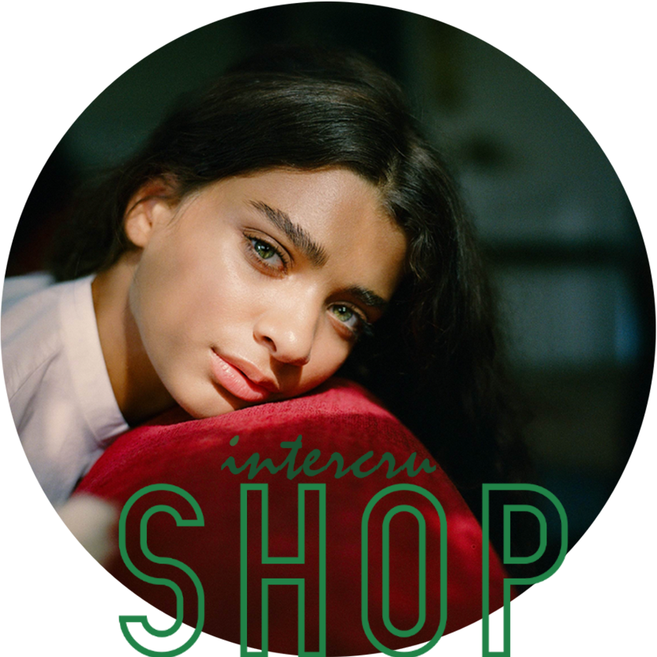 Shop Icon.png