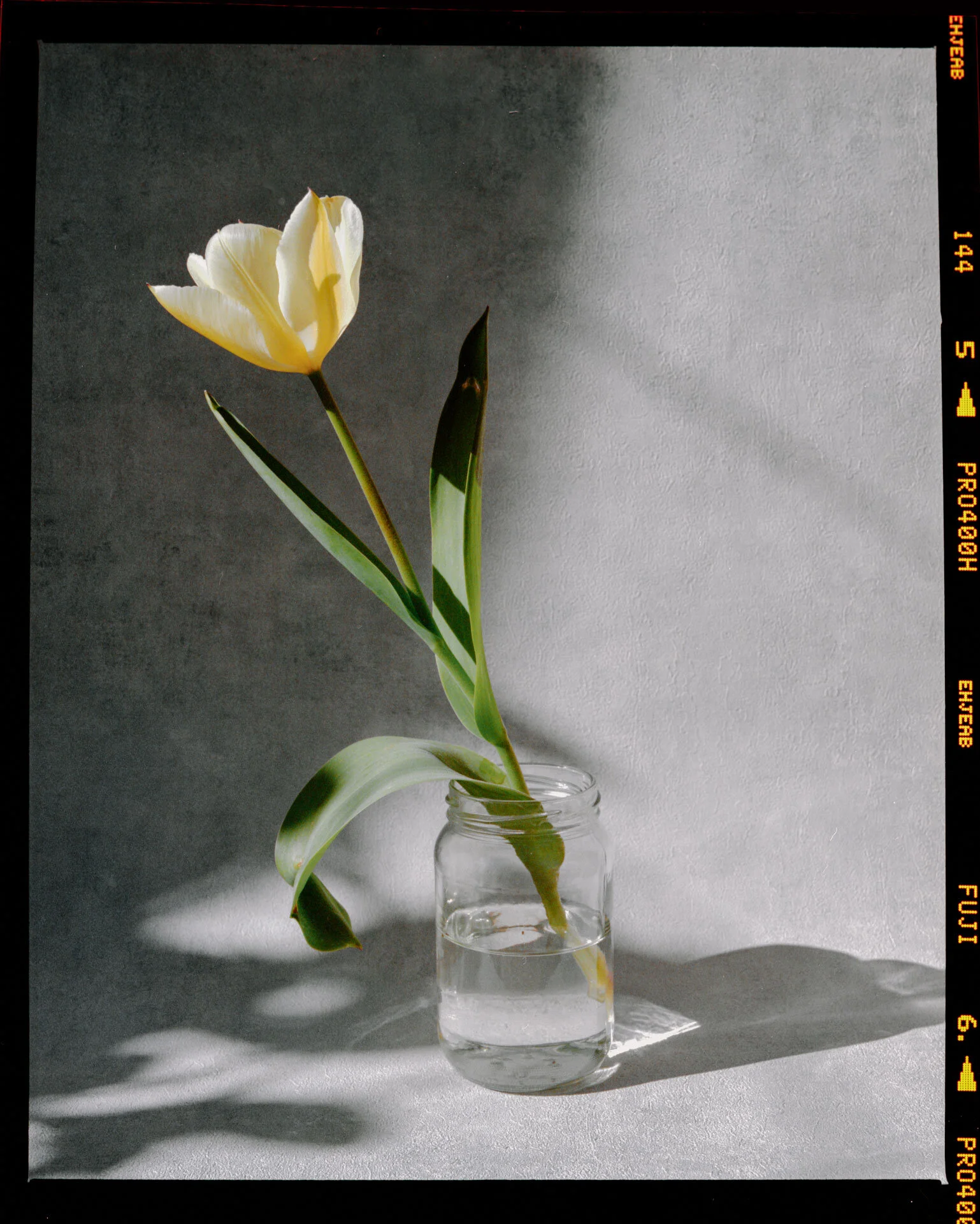 Melina Lautenschläger