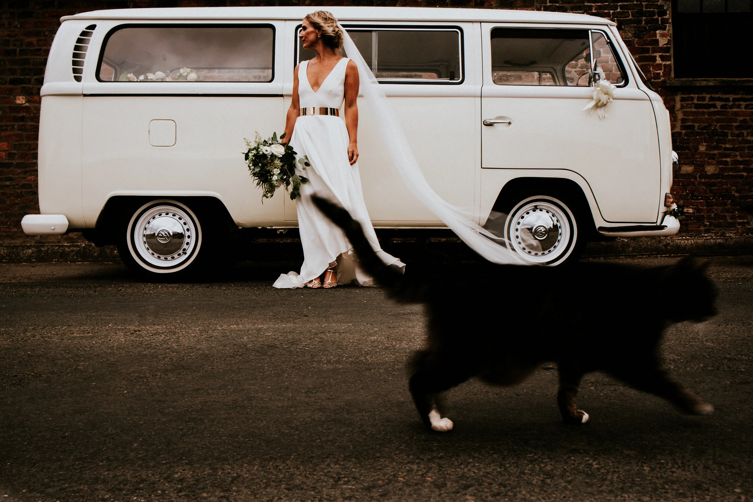 bride-black-cat-white-campervan-the-normans-wedding-photographer-york.jpg