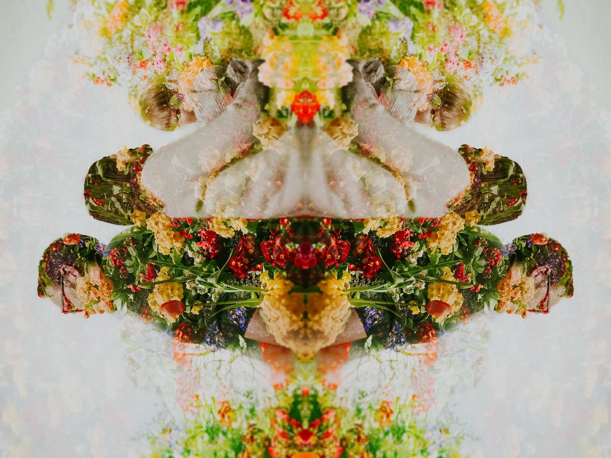 A double exposure of a family mixed with spring flowers in this Lincoln Family photoshoot.