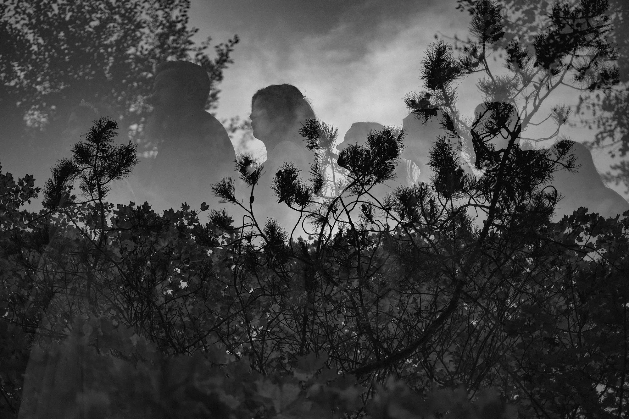 A double exposure of black and white trees with the wedding party in an abstract photograph of love.