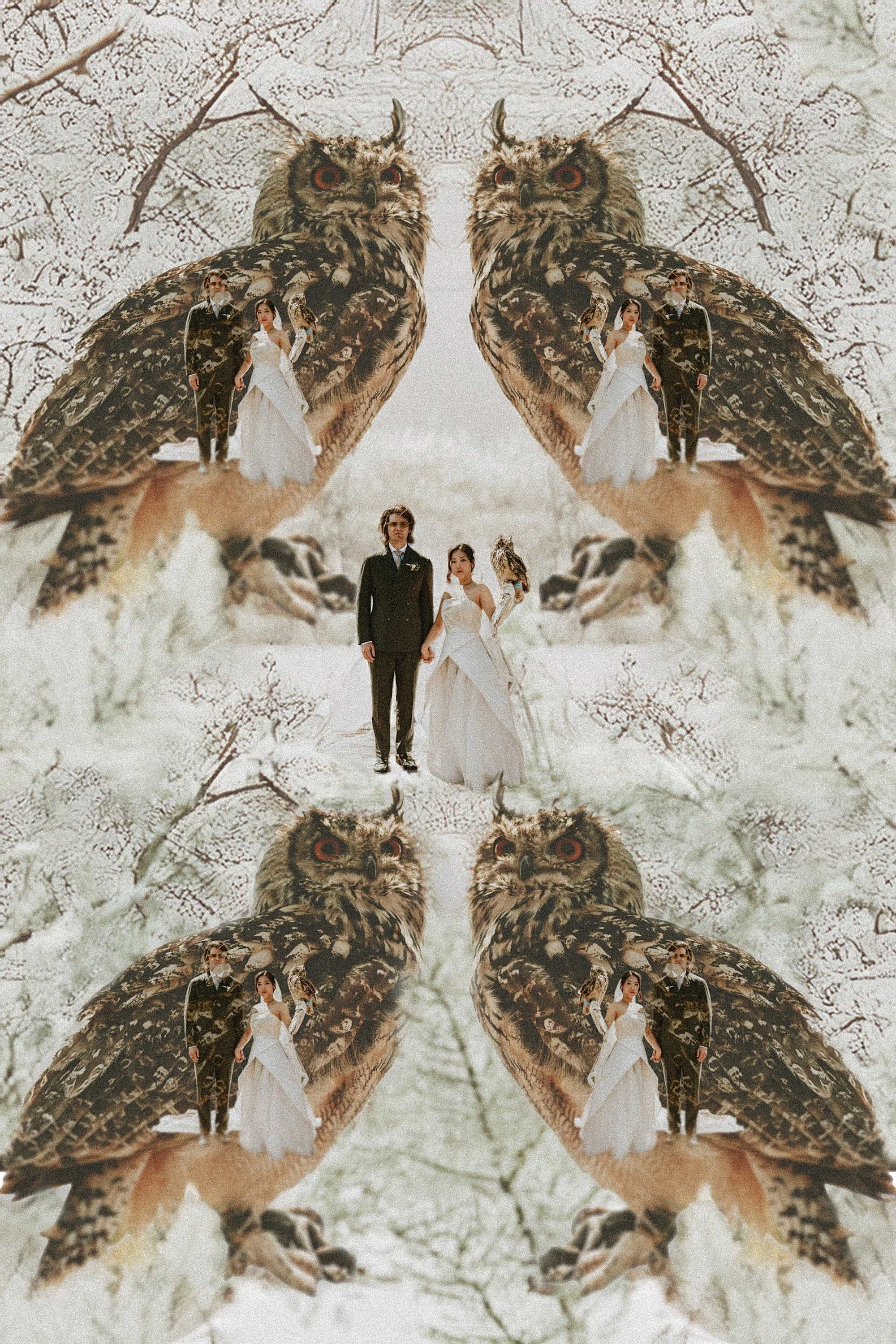 A Winton Castle wedding with an owl. A quirky portrait of the Bride and Groom holding an owl. Magic eye picture vibes to this alternative wedding photograph.