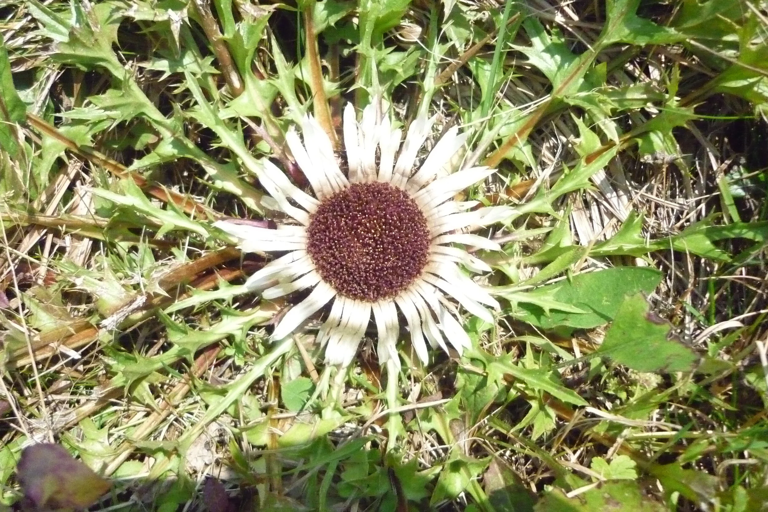 Was hat die Me-too-Debatte mit Quantenphysik zu tun? 