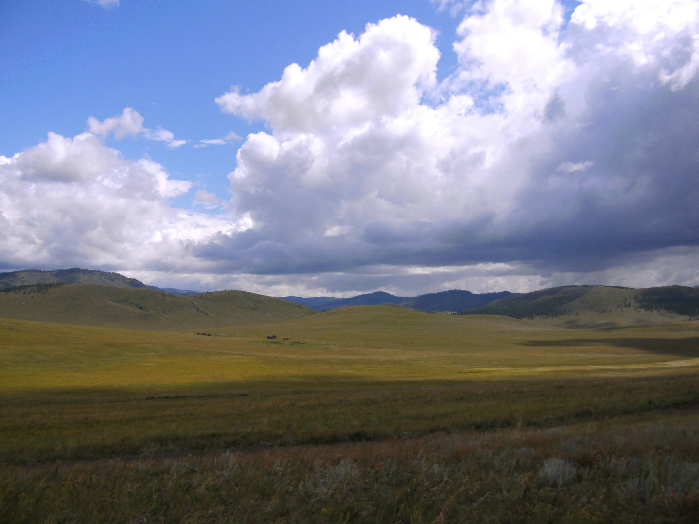 Das Leben ist ein Zusammenspiel ohne Dirigent