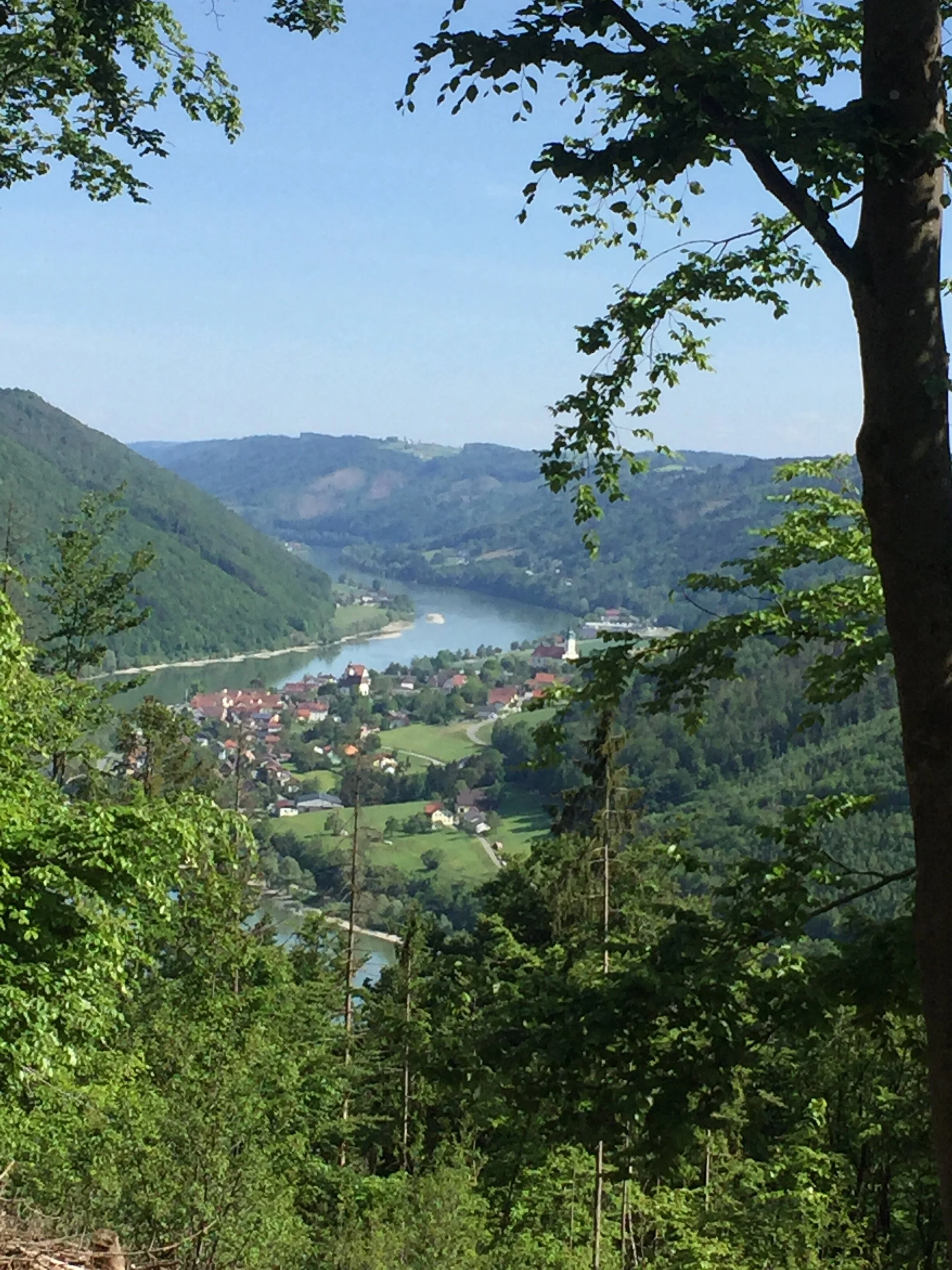 Die Mutter muss man lieben