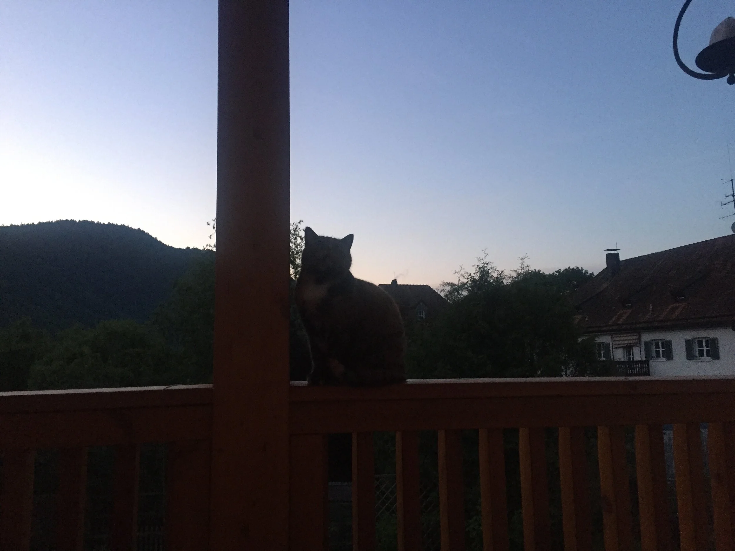 Die verstrickte Wirklichkeit