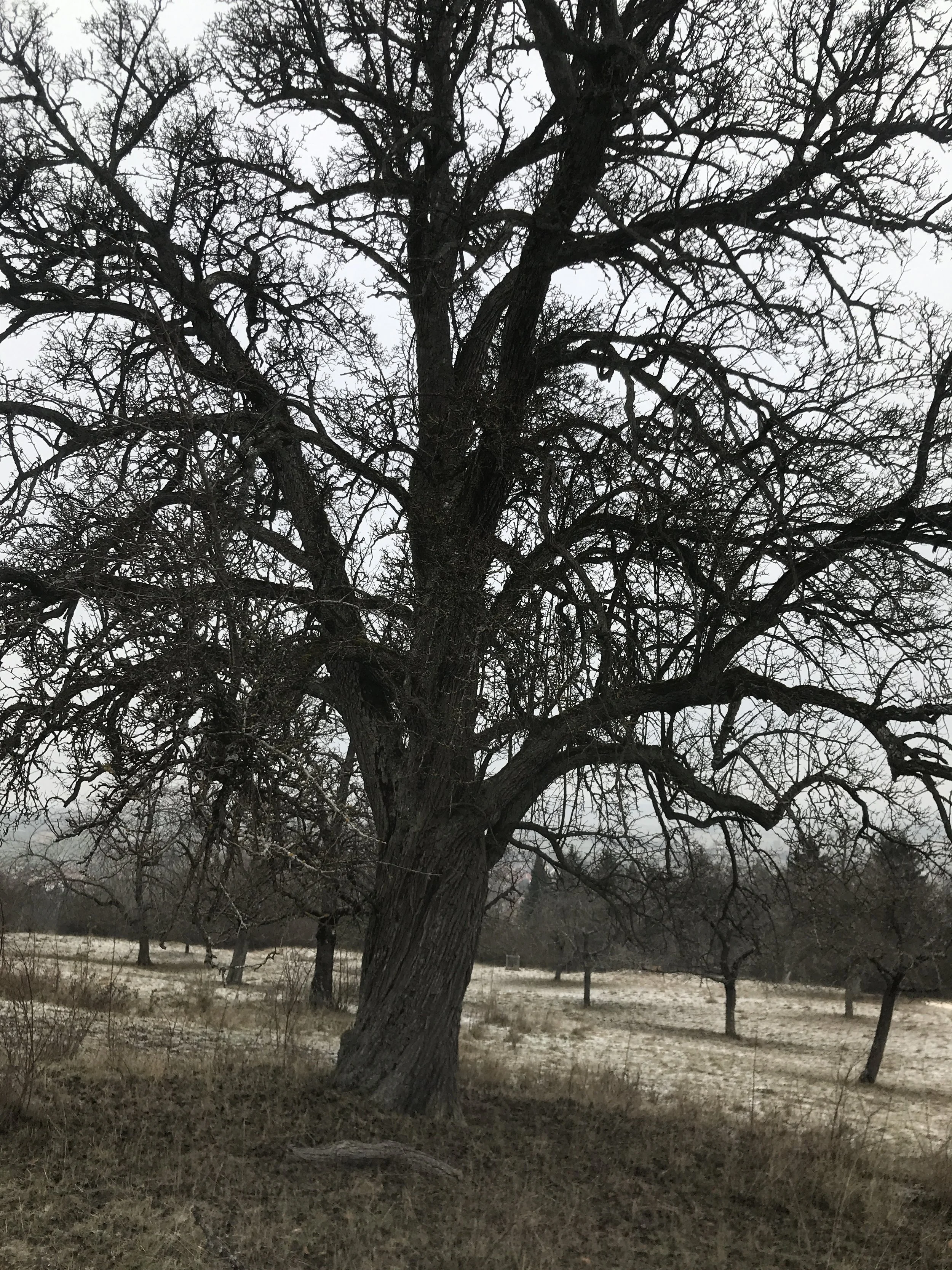  Ich rühr´ Dich nicht an!  