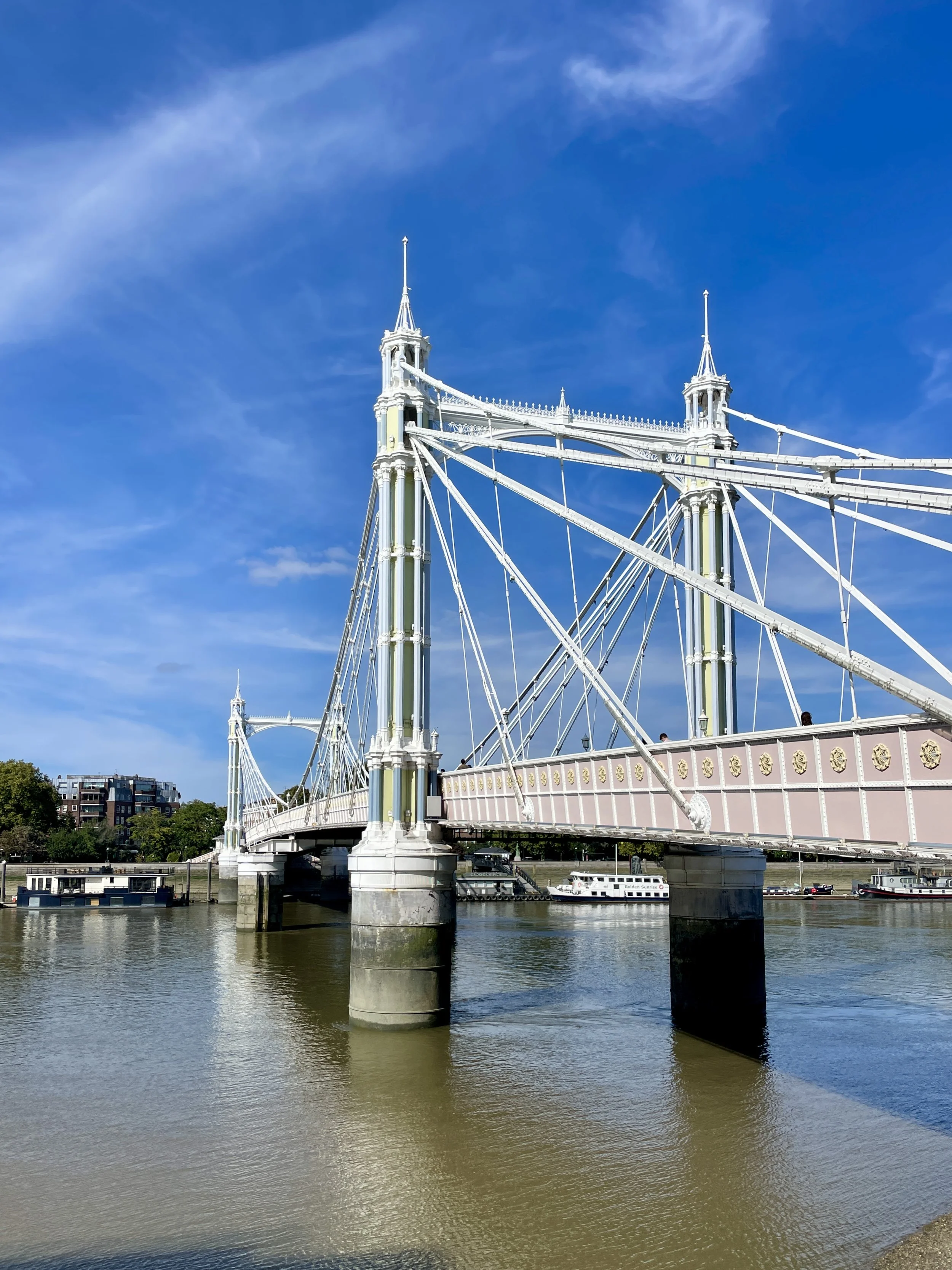 Albert Bridge, London