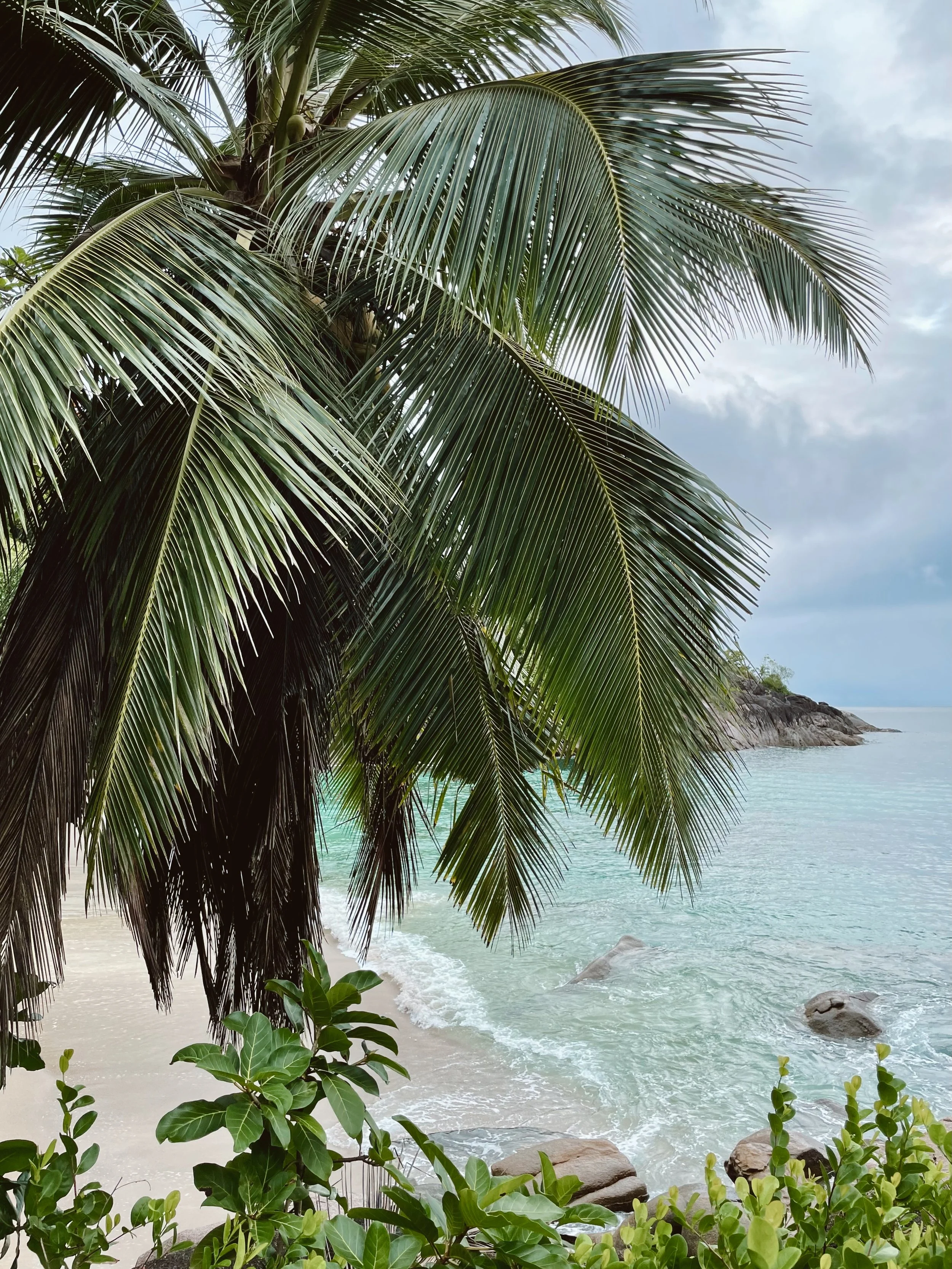 Anse Major Beach, Seychelles