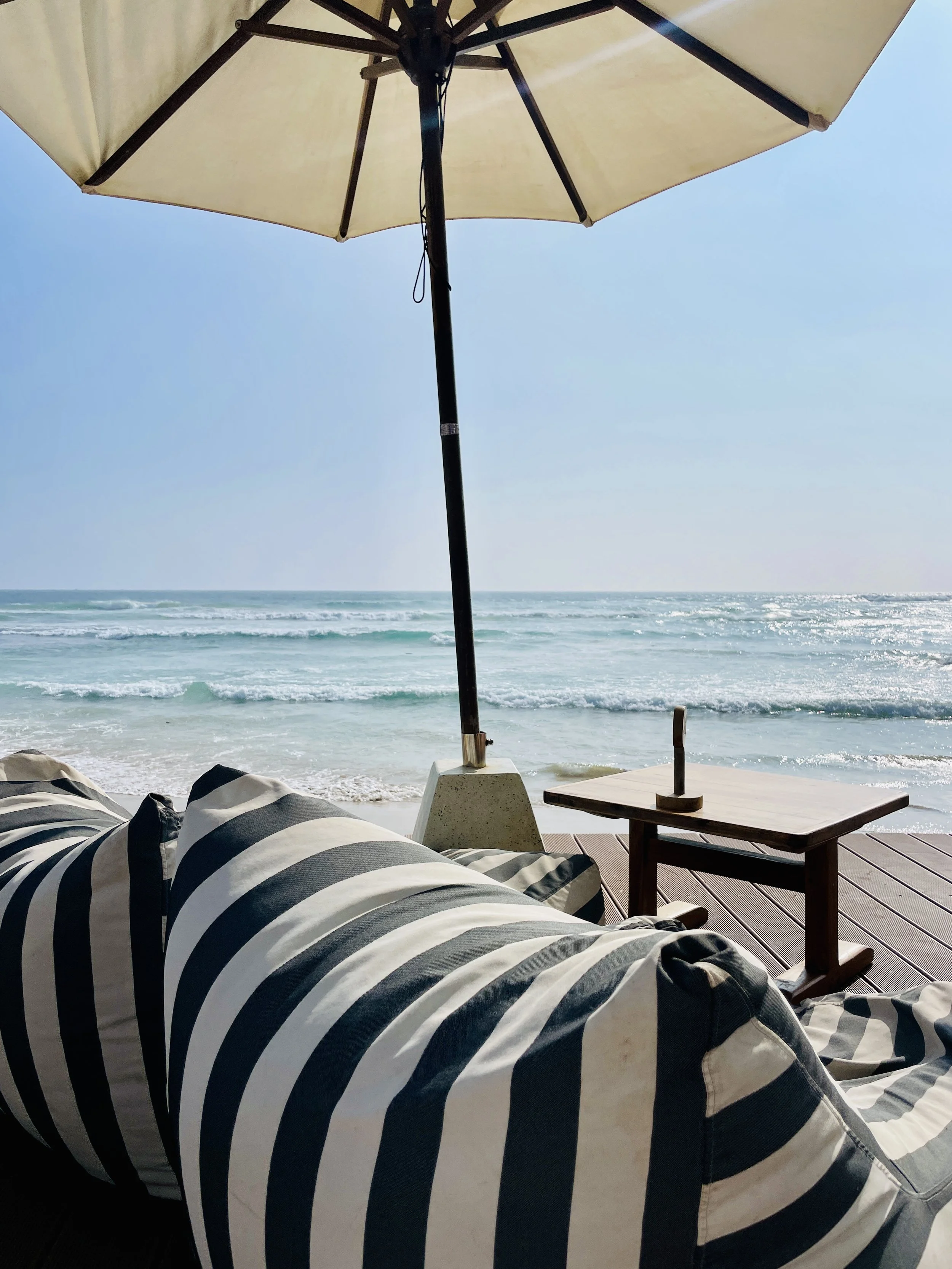 Cactus, Ahangama, Sri Lanka