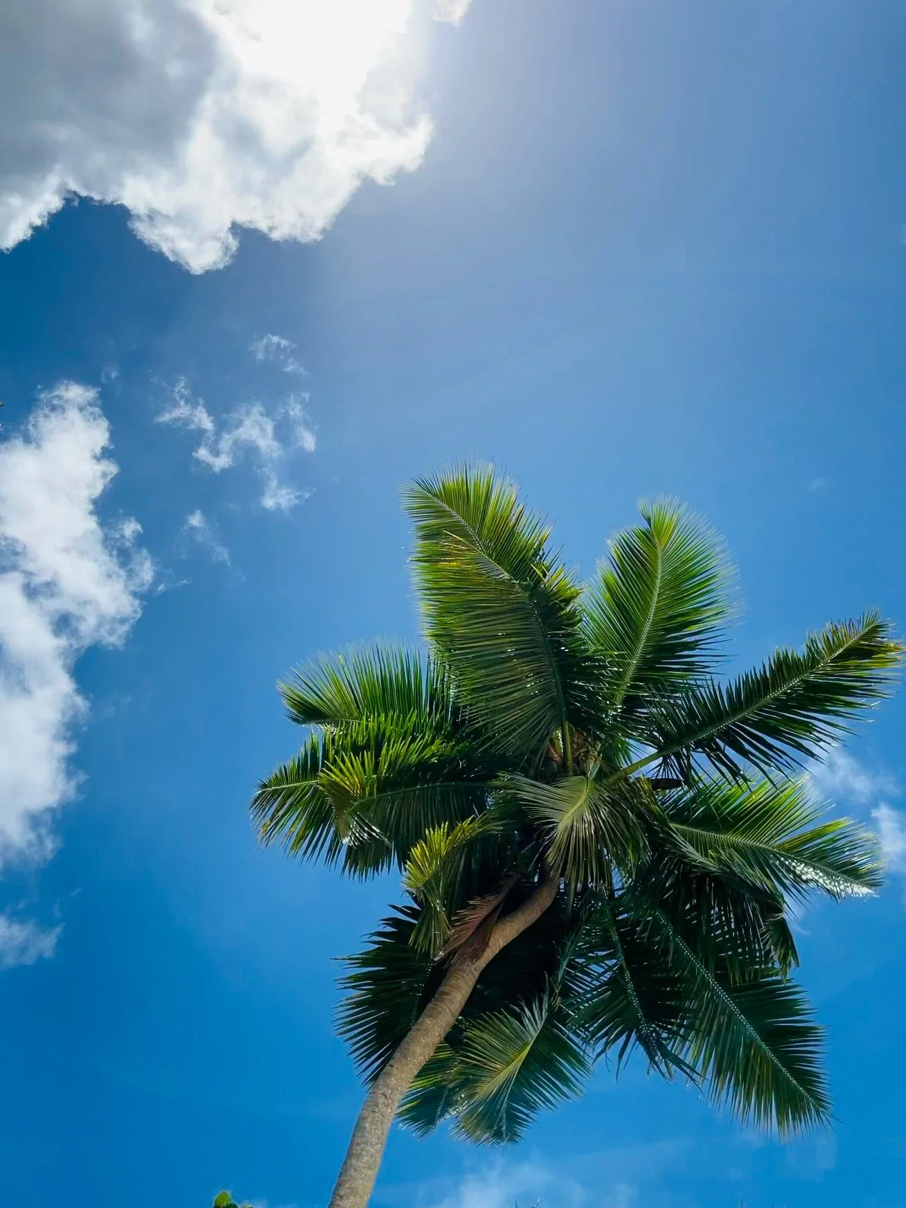 Seychelles.JPEG