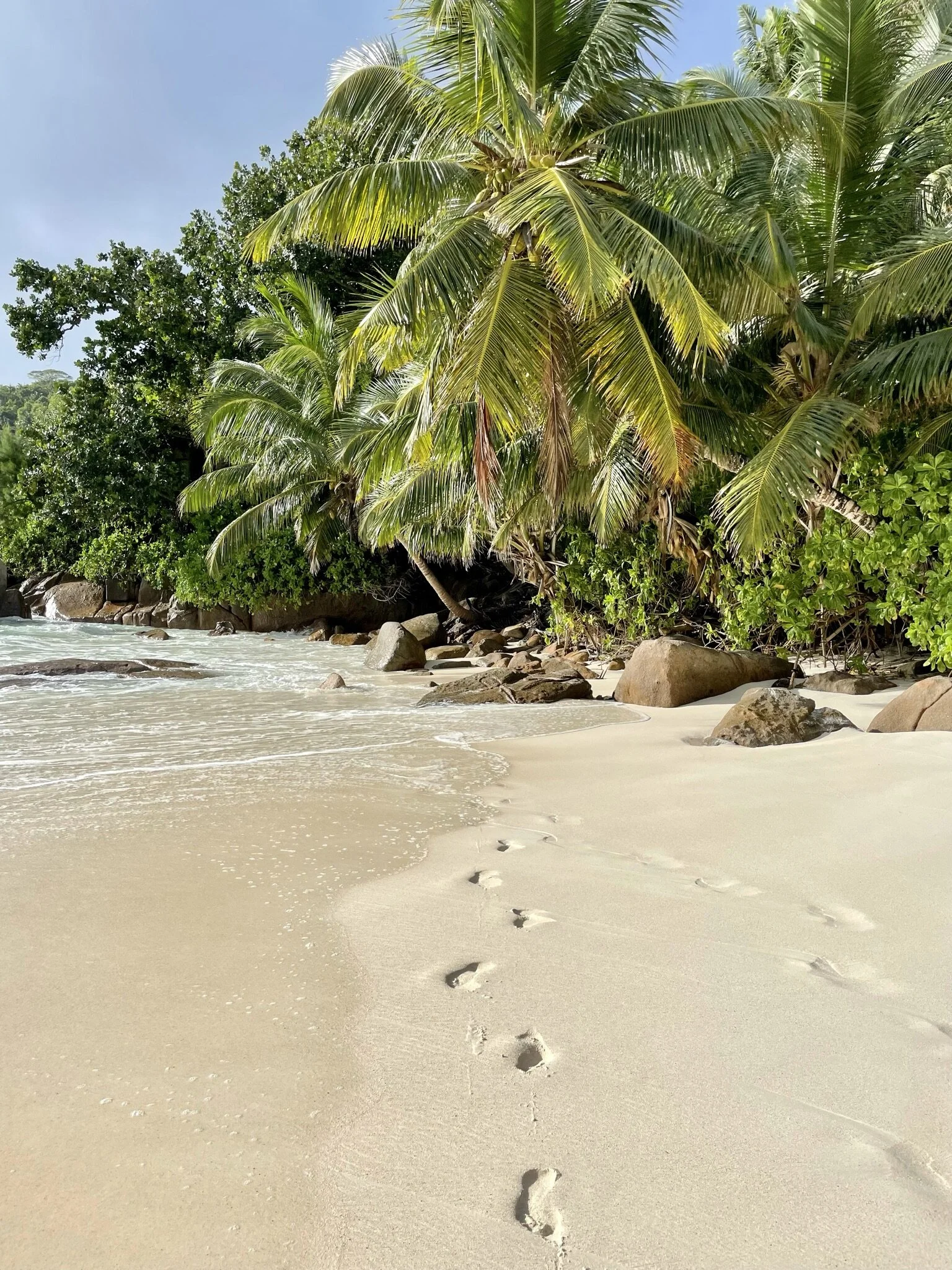 Seychelles.JPEG