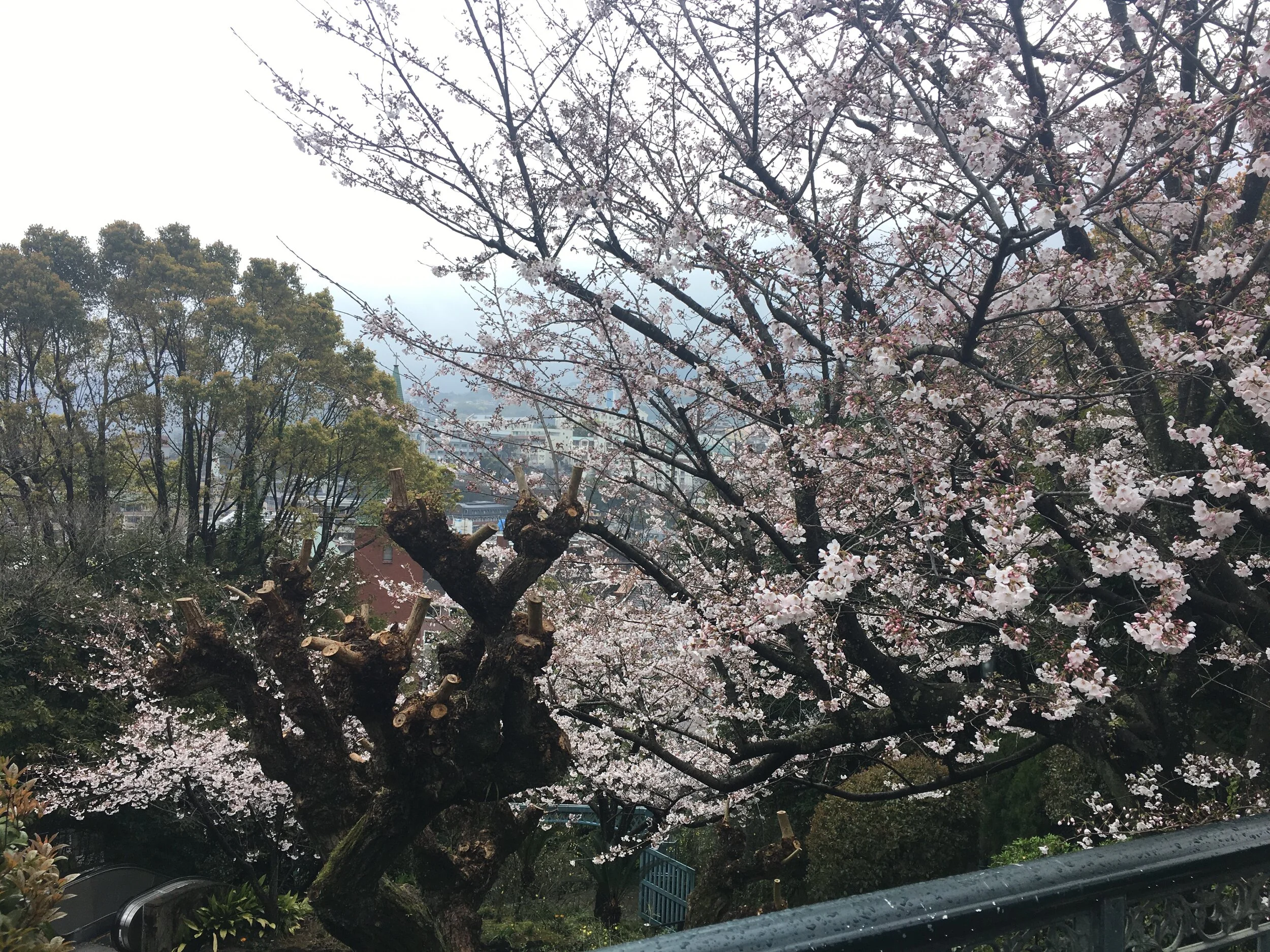 Japan.JPG