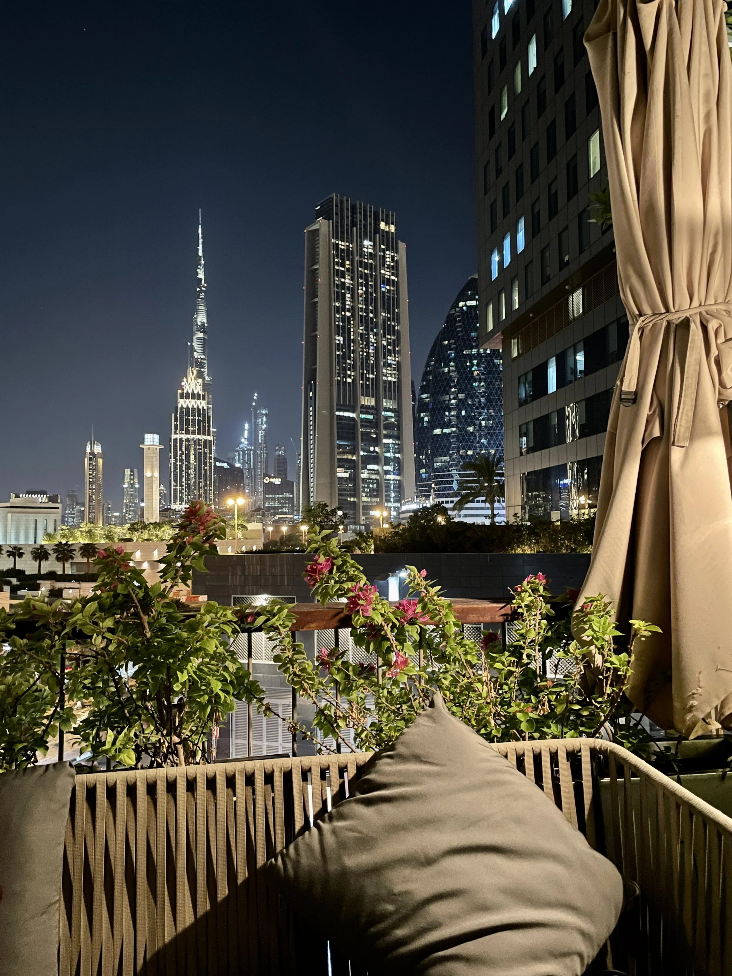 Robertos Restaurant DIFC Dubai