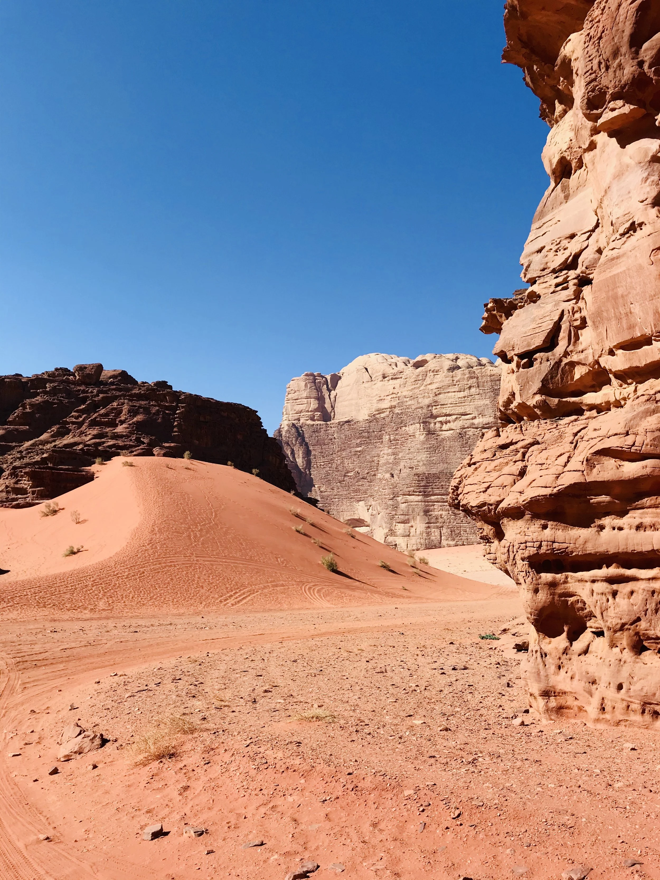 Wadi Rum Jordan