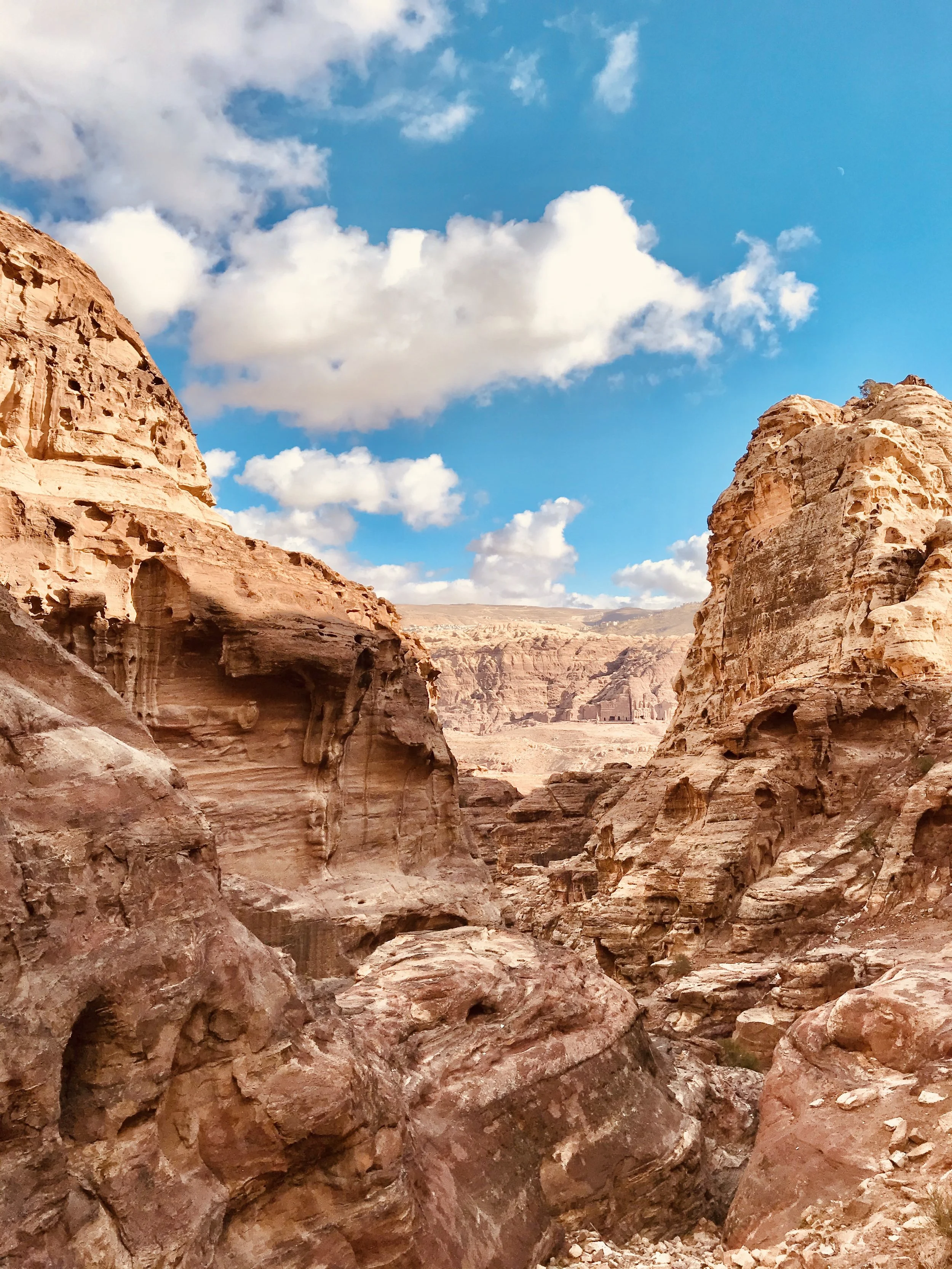 Petra Jordan