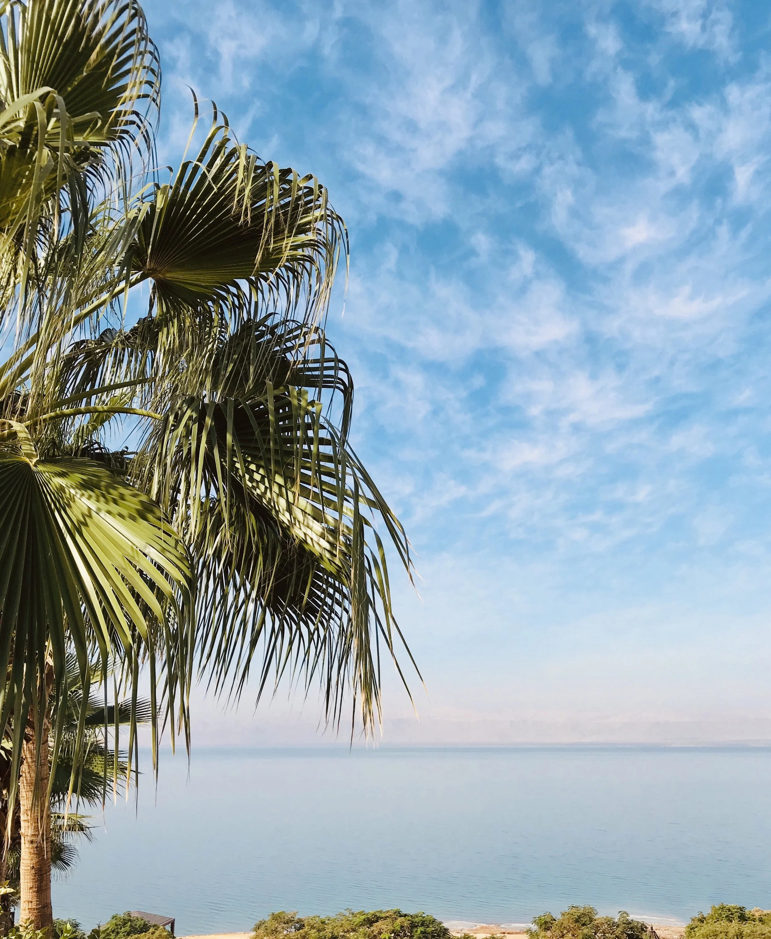 Dead Sea Jordan