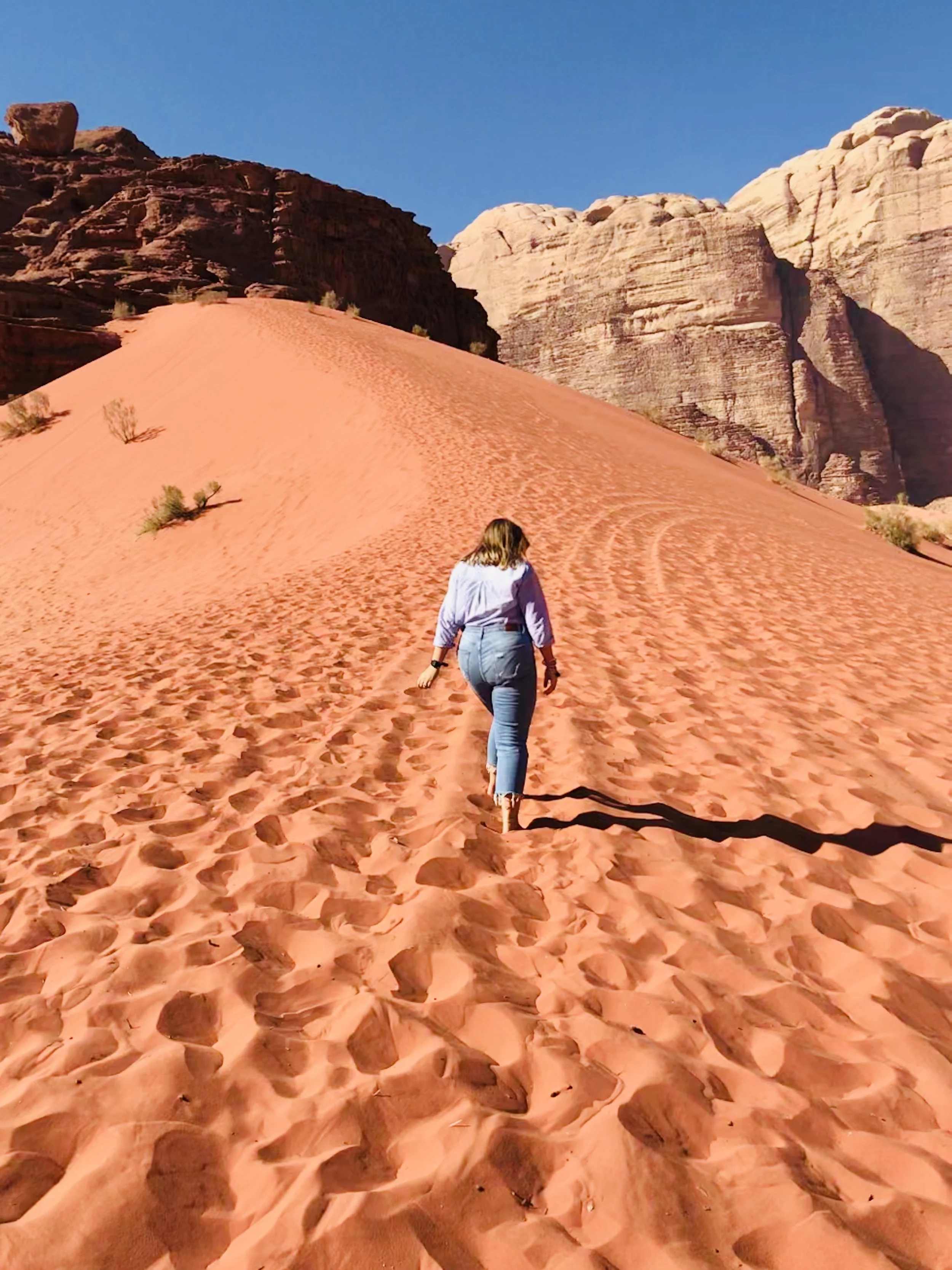 Wadi Rum Jordan
