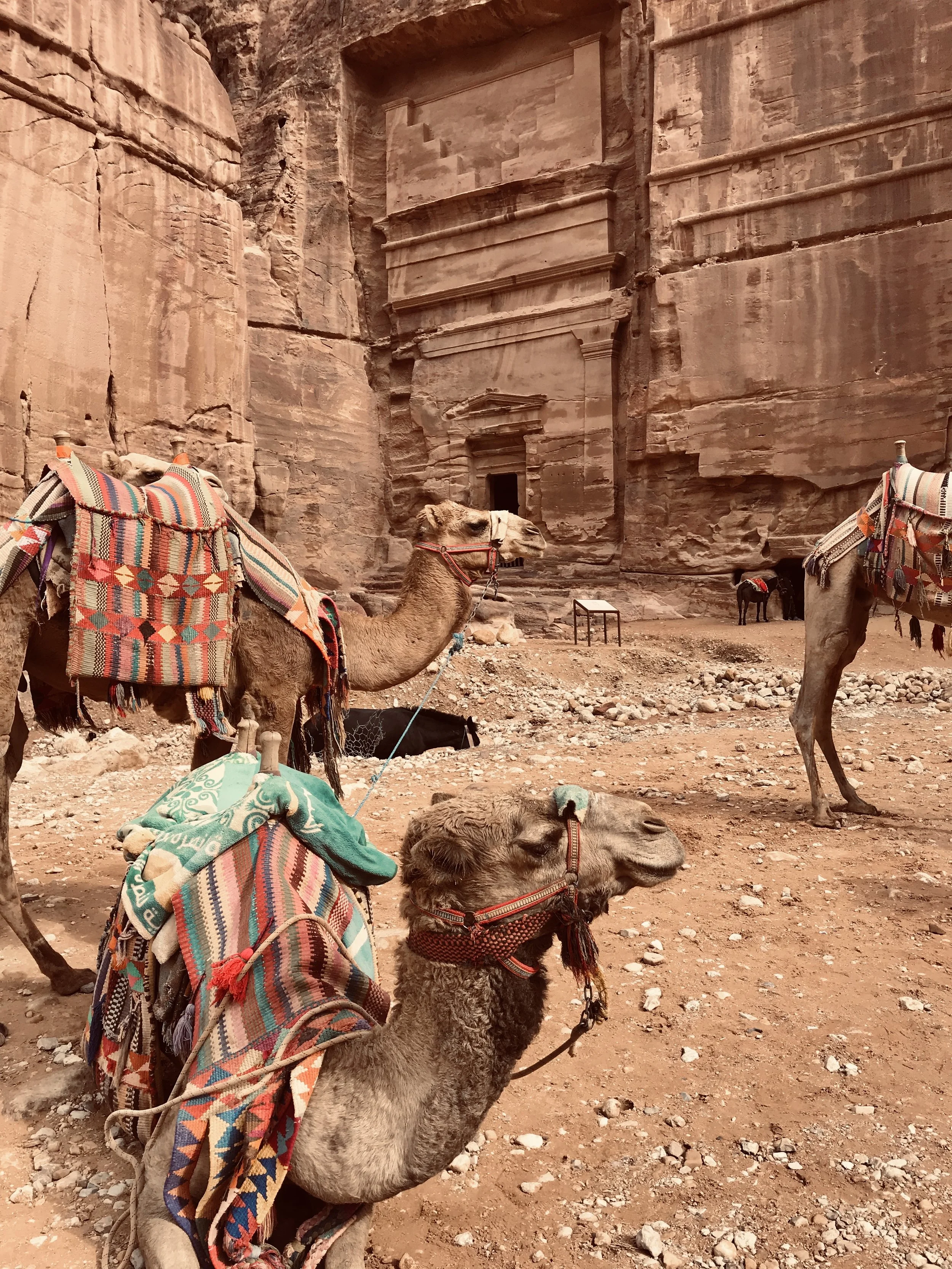 Petra Jordan