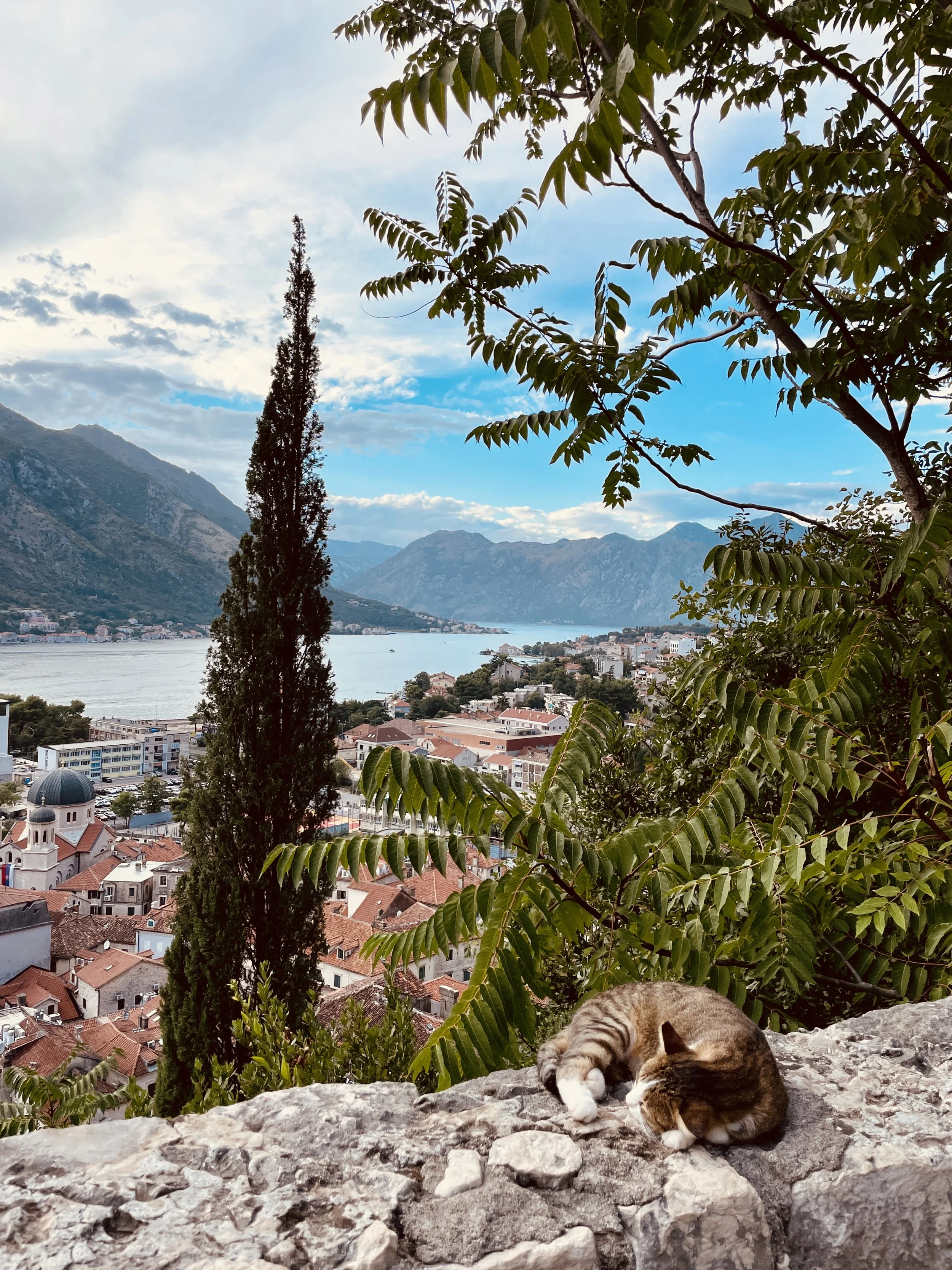 Kotor, Montenegro.JPG