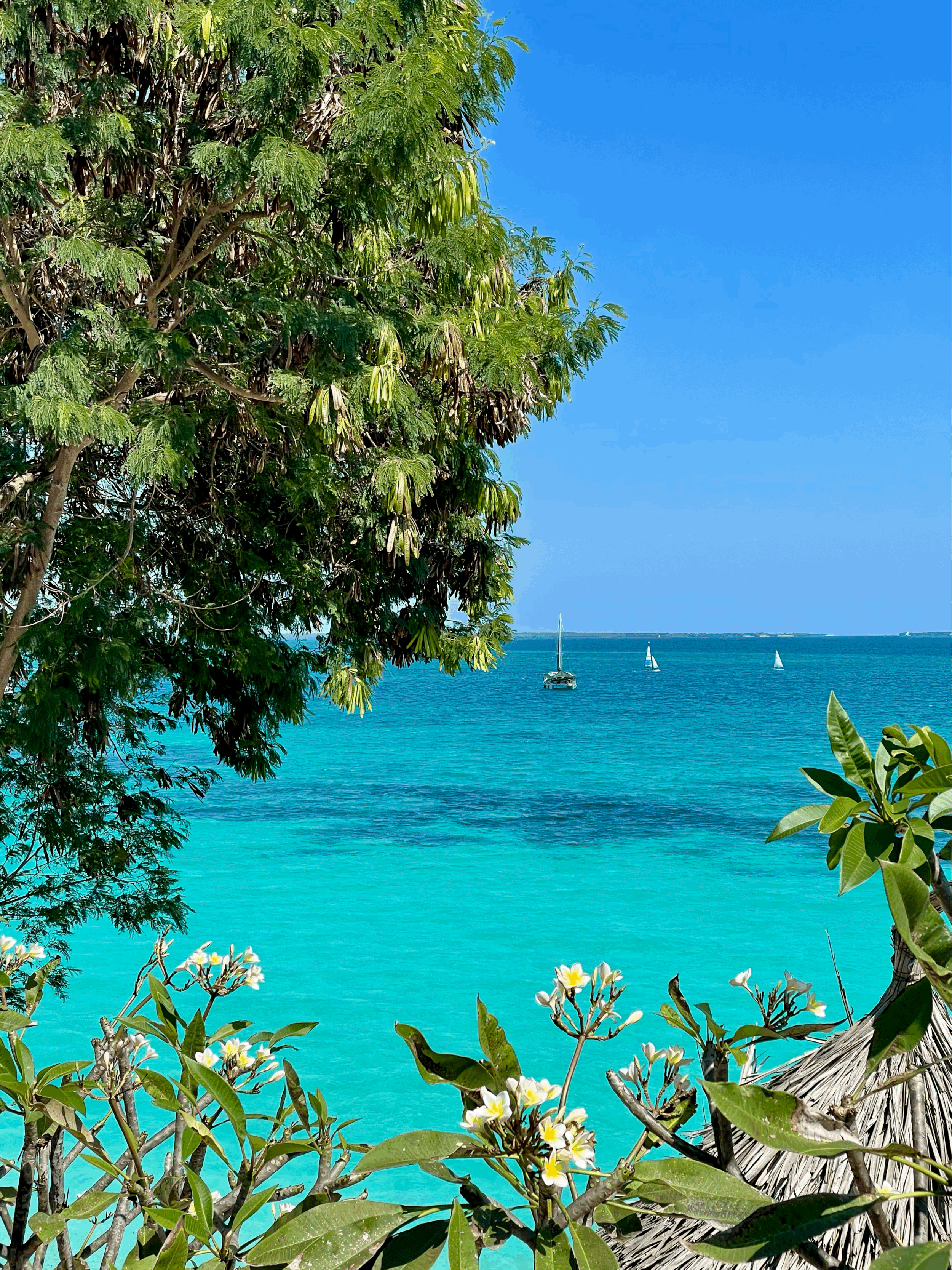 Review: Riu Palace Zanzibar