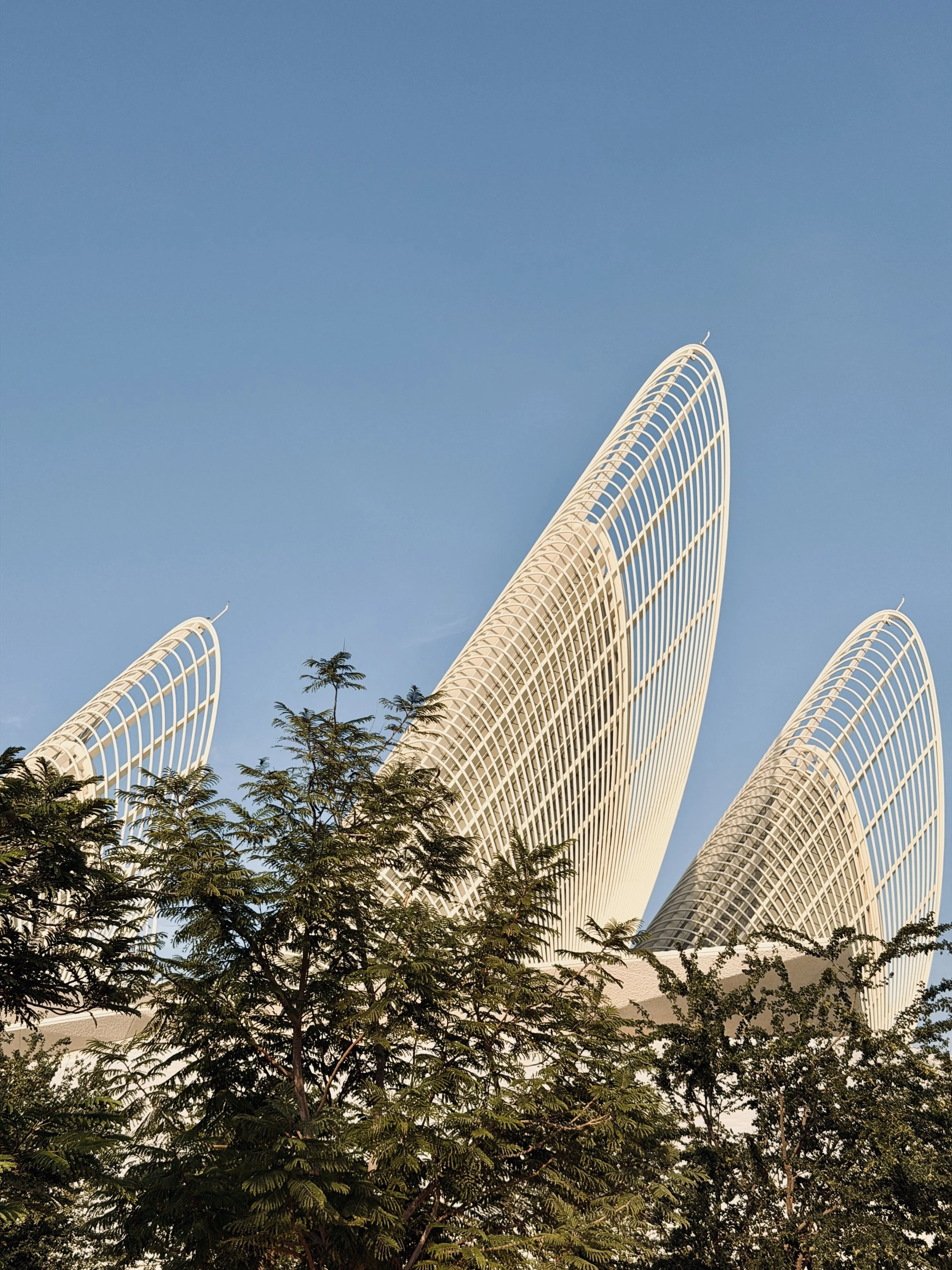 Zayed National Museum Abu Dhabi – Ultimate Visitor Guide