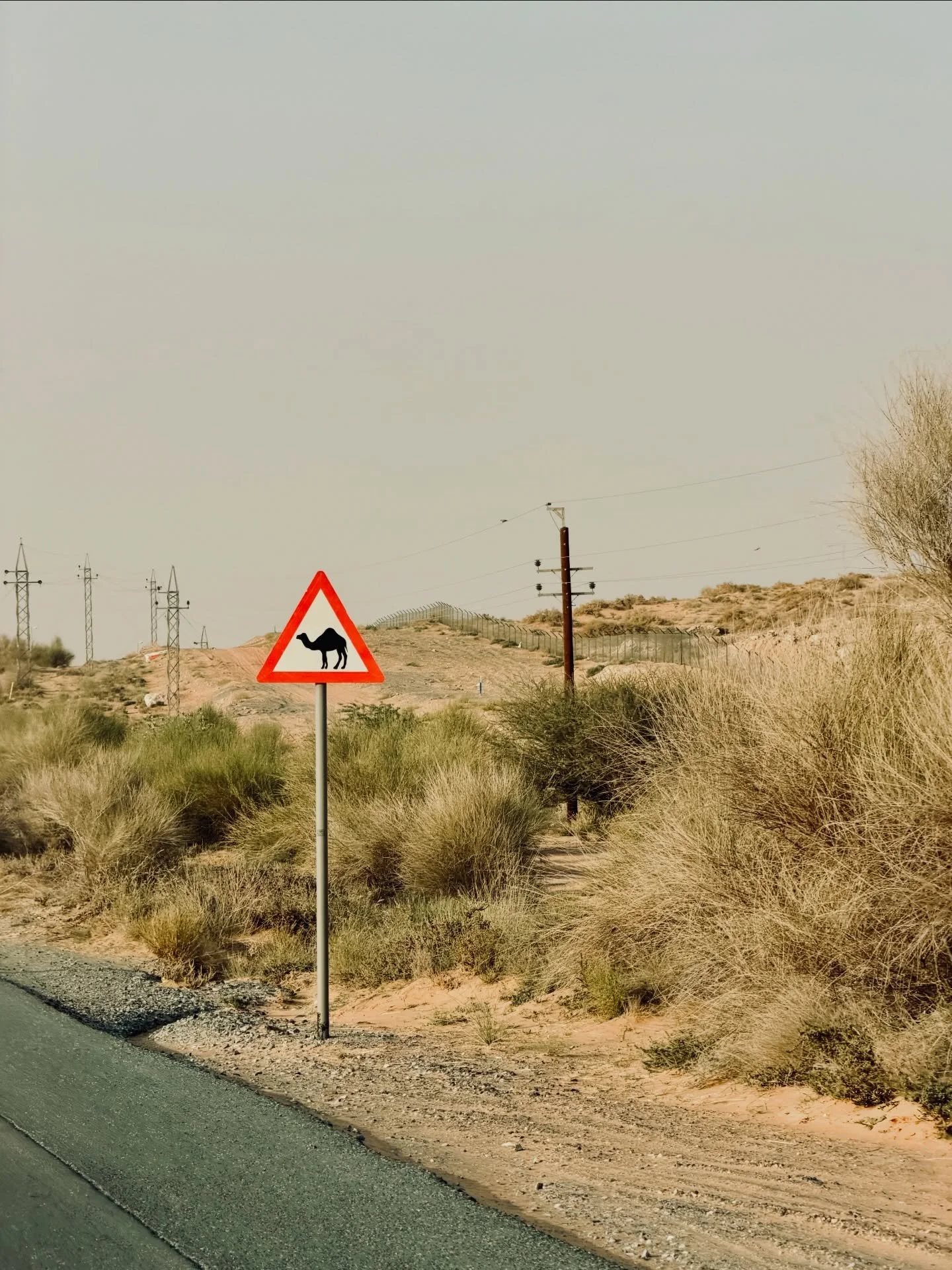 camping szn 🐪🌲⛺️✨ (winter plz stop moving so fast!)