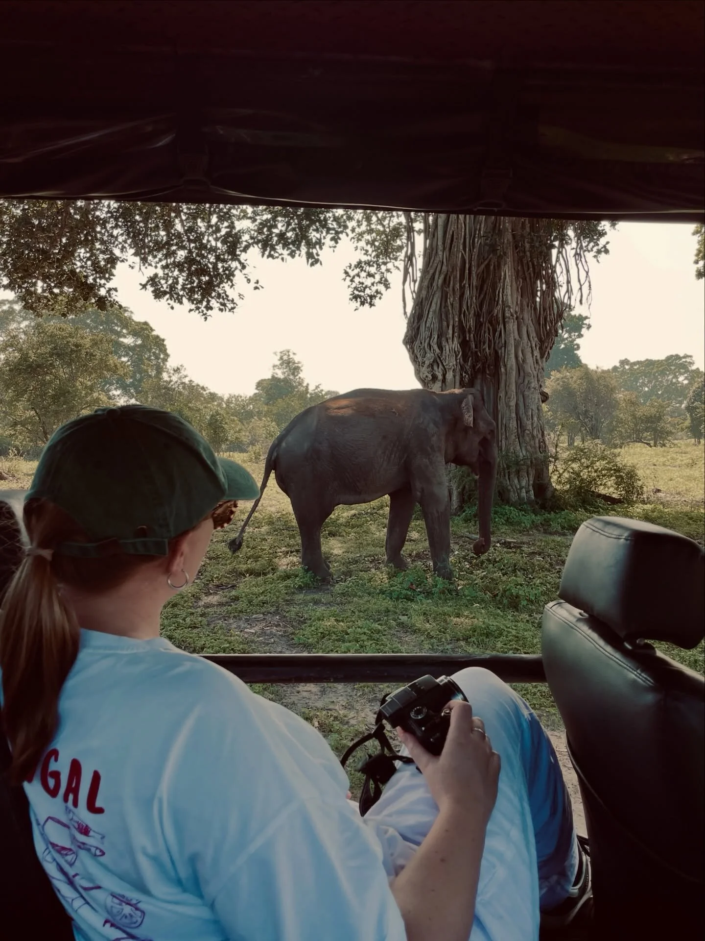 it doesn&rsquo;t get much more special than this. why are baby elephants so cute?! 🐘🤍