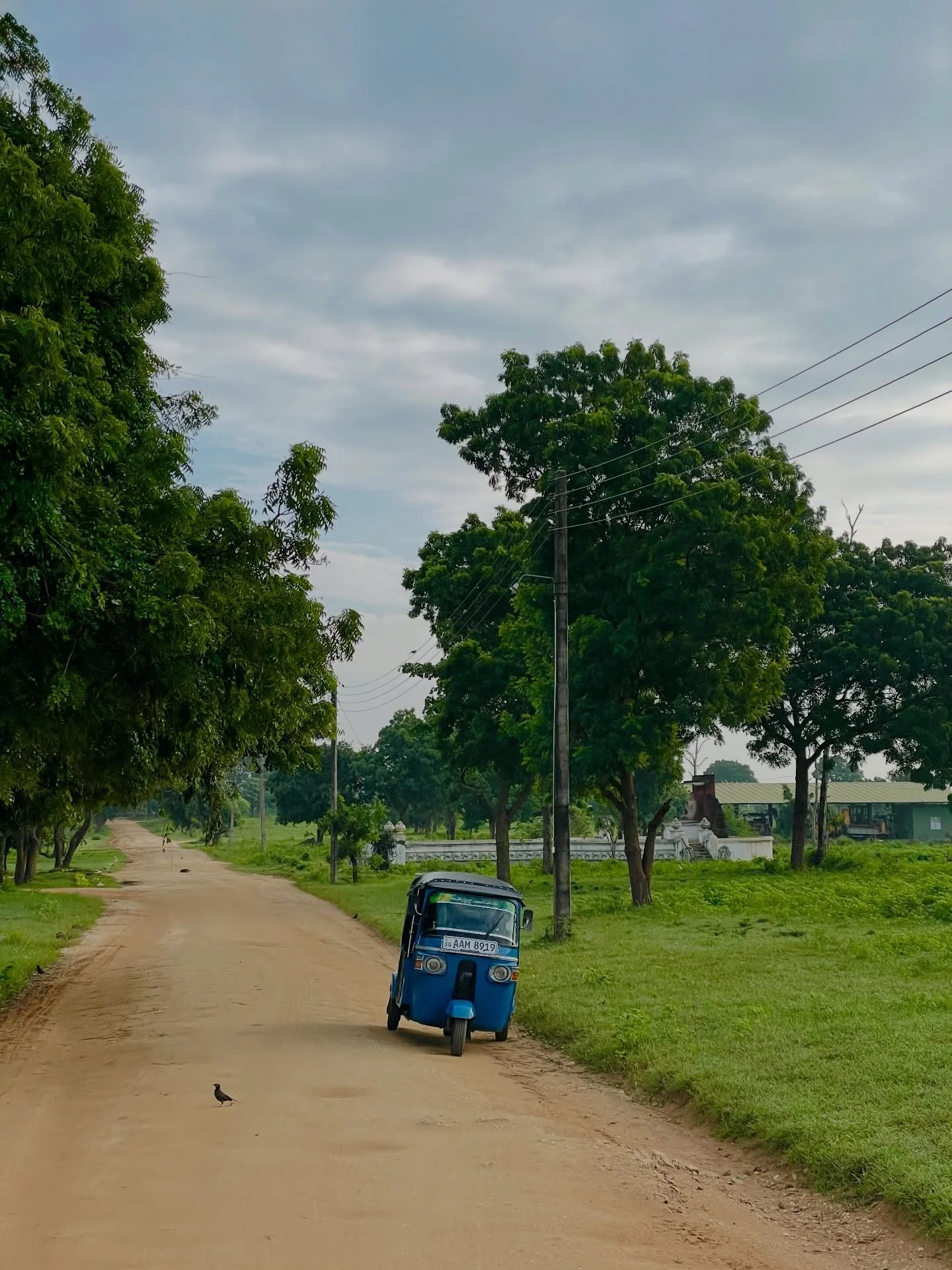 ~ some more of Sri Lanka <333

🌴🥥🛺🌴🥥🛺🌴🥥🛺