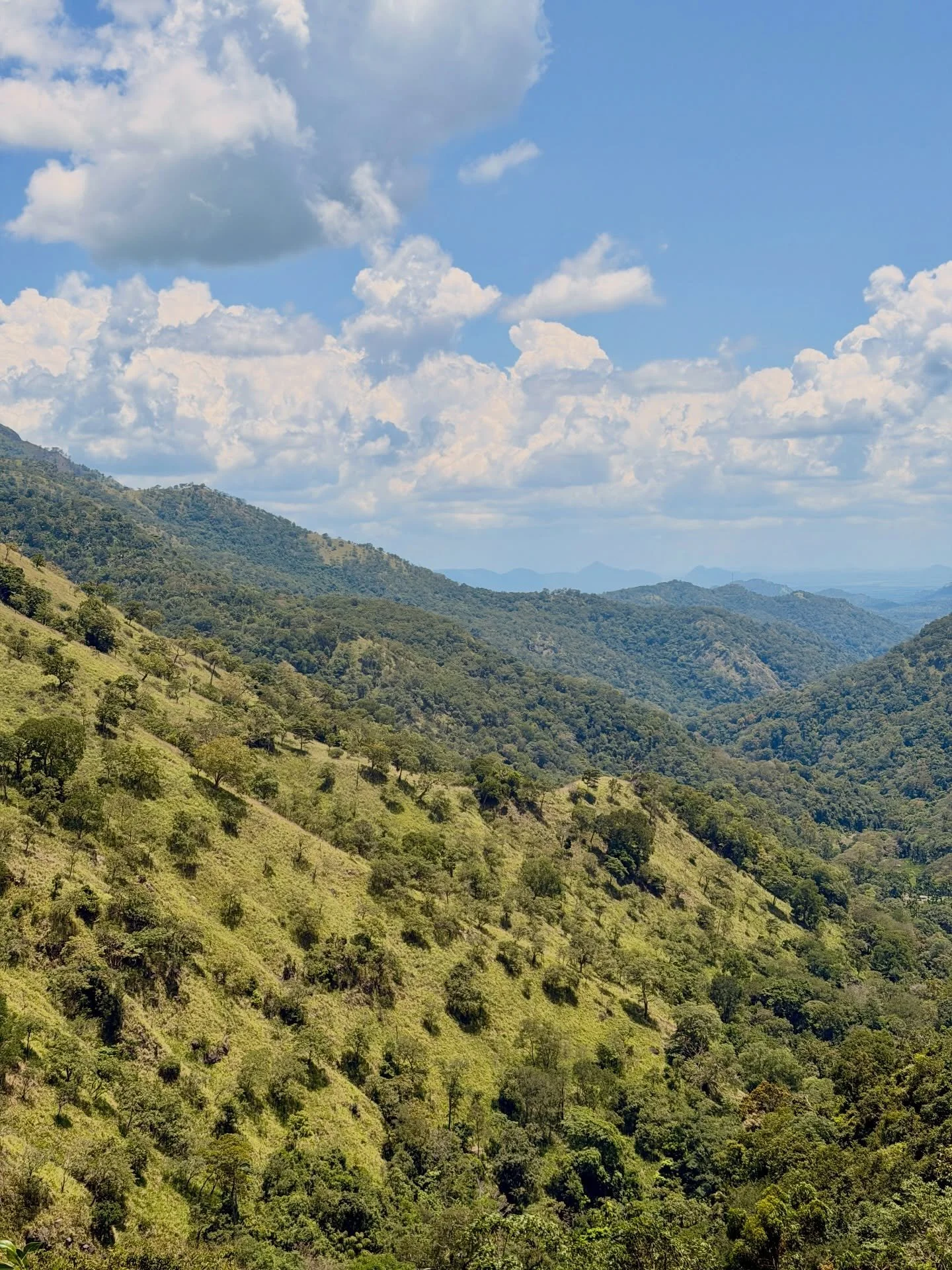 just what our nervous systems needed. @ellatrail_luxury_villa has only been open a few months. easily one of my favourite stays ever. everything, everything perfect. 🚂🌴😮&zwj;💨