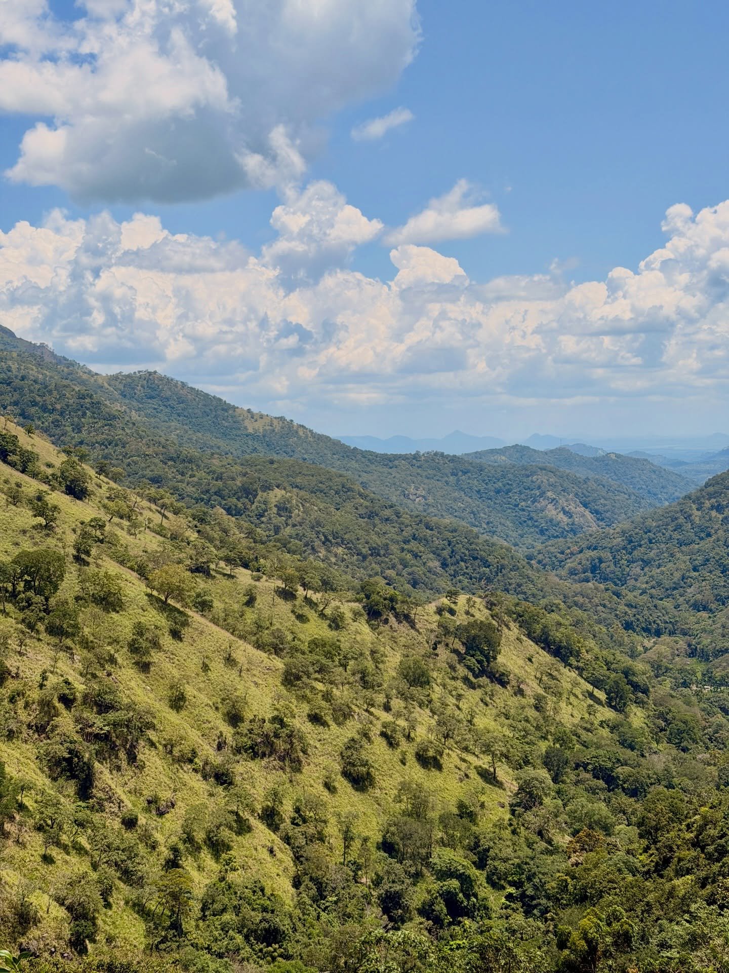 just what our nervous systems needed. @ellatrail_luxury_villa has only been open a few months. easily one of my favourite stays ever. everything, everything perfect. 🚂🌴😮&zwj;💨