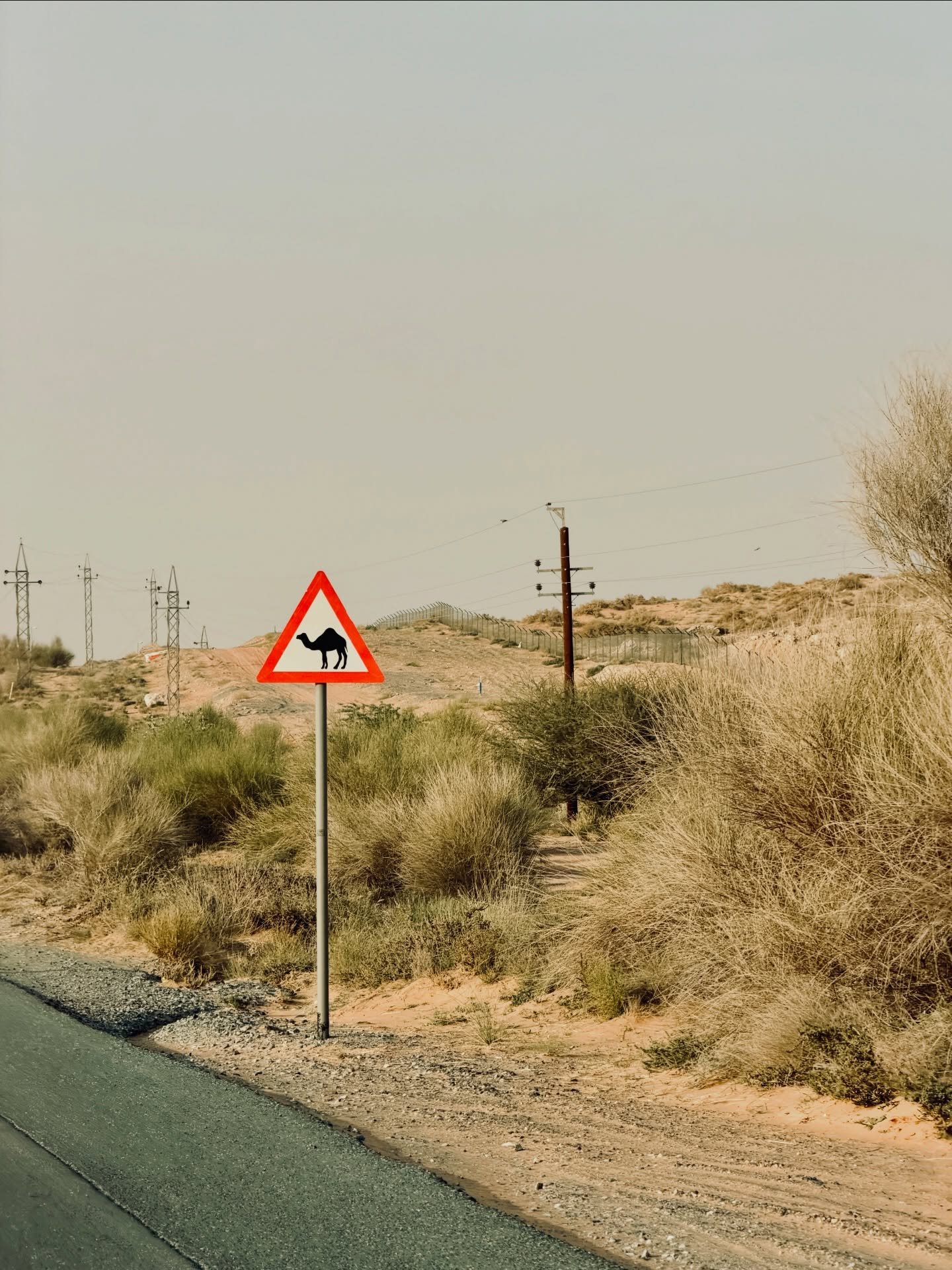 camping szn 🐪🌲⛺️✨ (winter plz stop moving so fast!)