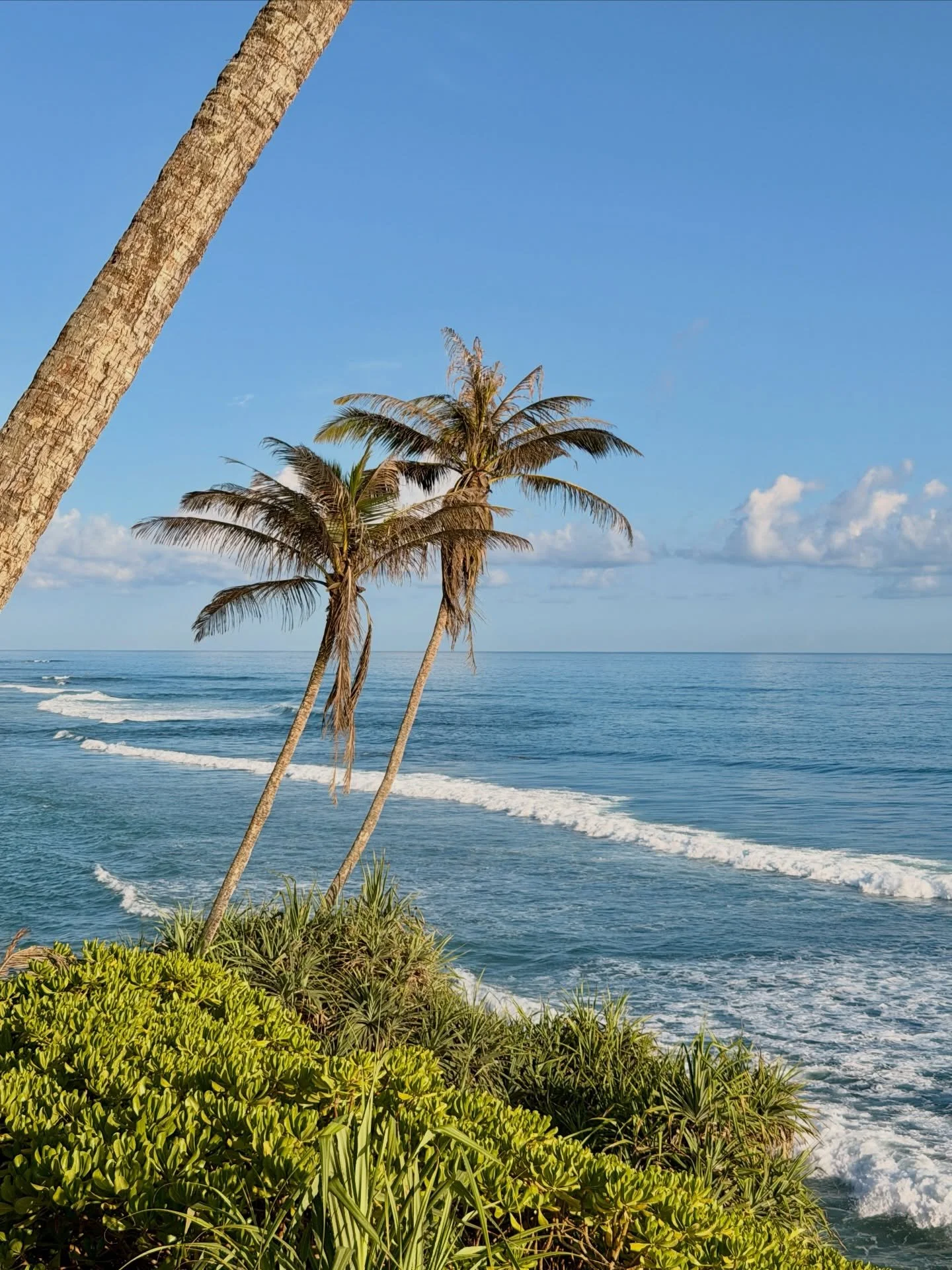 I don&rsquo;t want to ever stop posting about this country 🐒🌴⛱️🥥