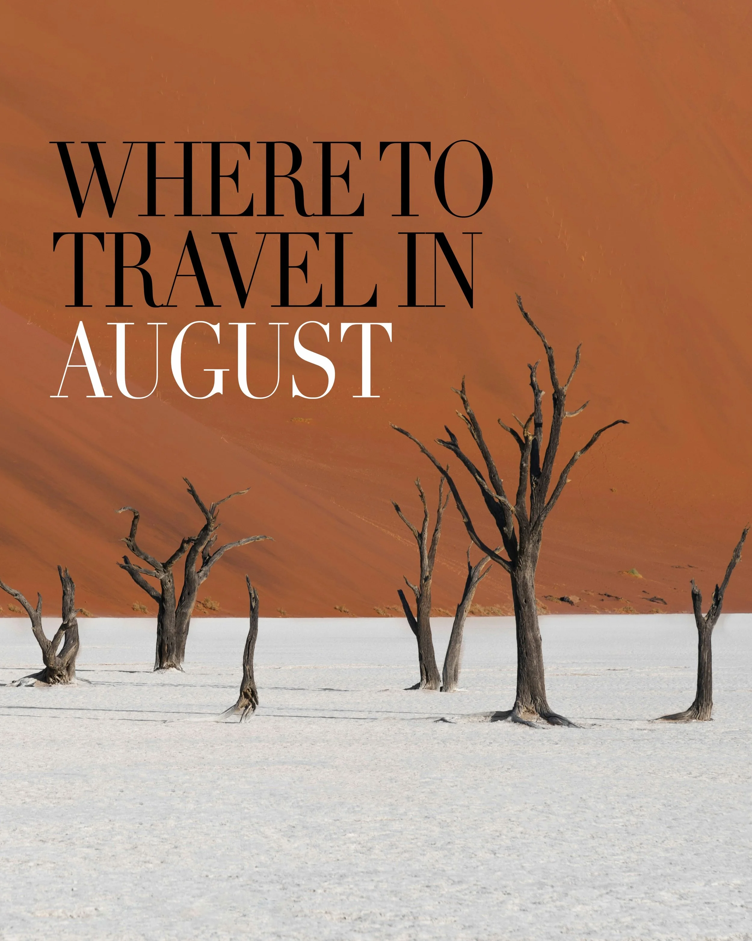where to travel in August ~ based on these destinations alone, it might just be the best month!

🏜️❄️🦒⛱️🌋⛵️

#Travel #August #Summer