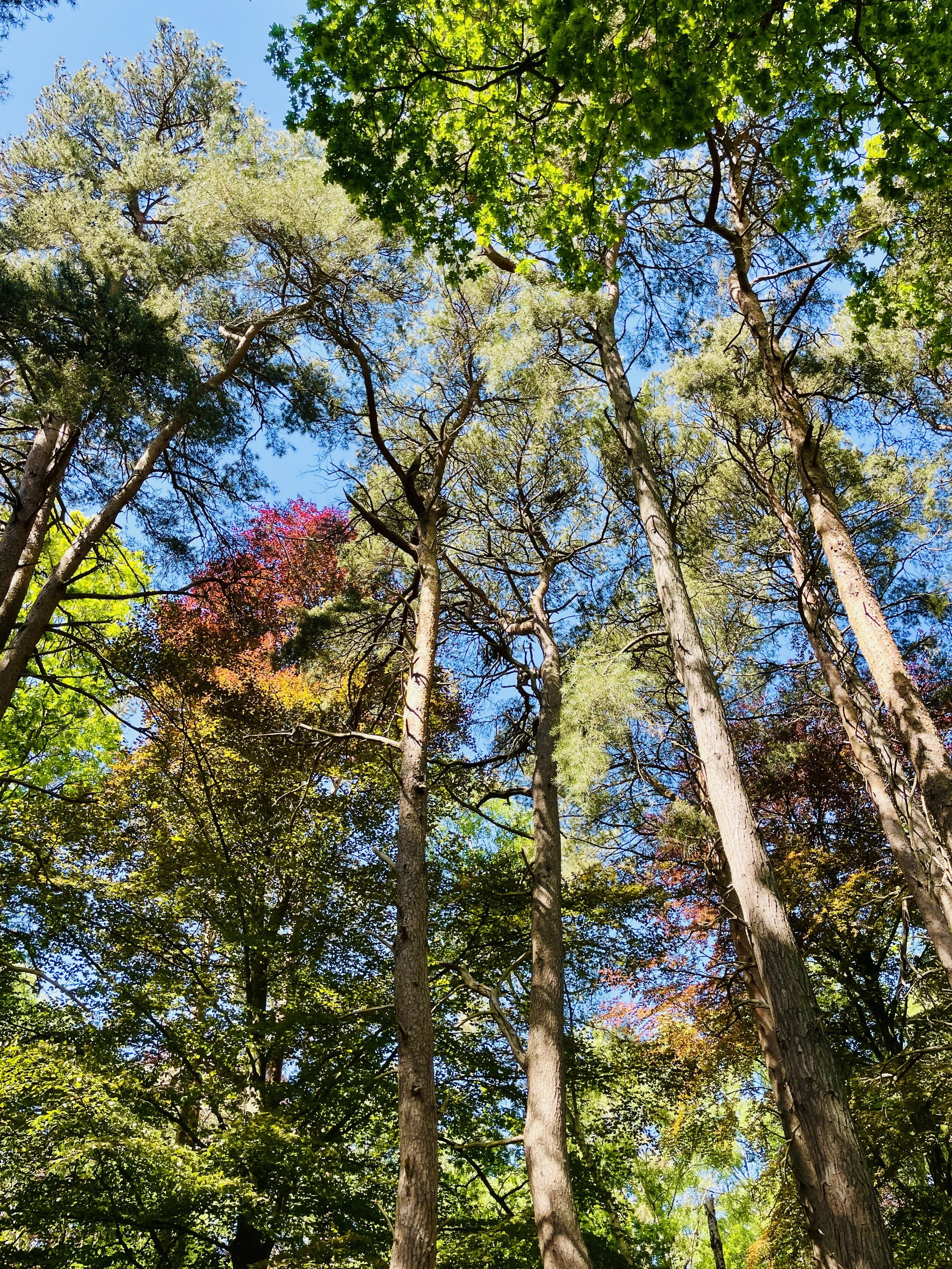 Woodhall Spa, Lincolnshire