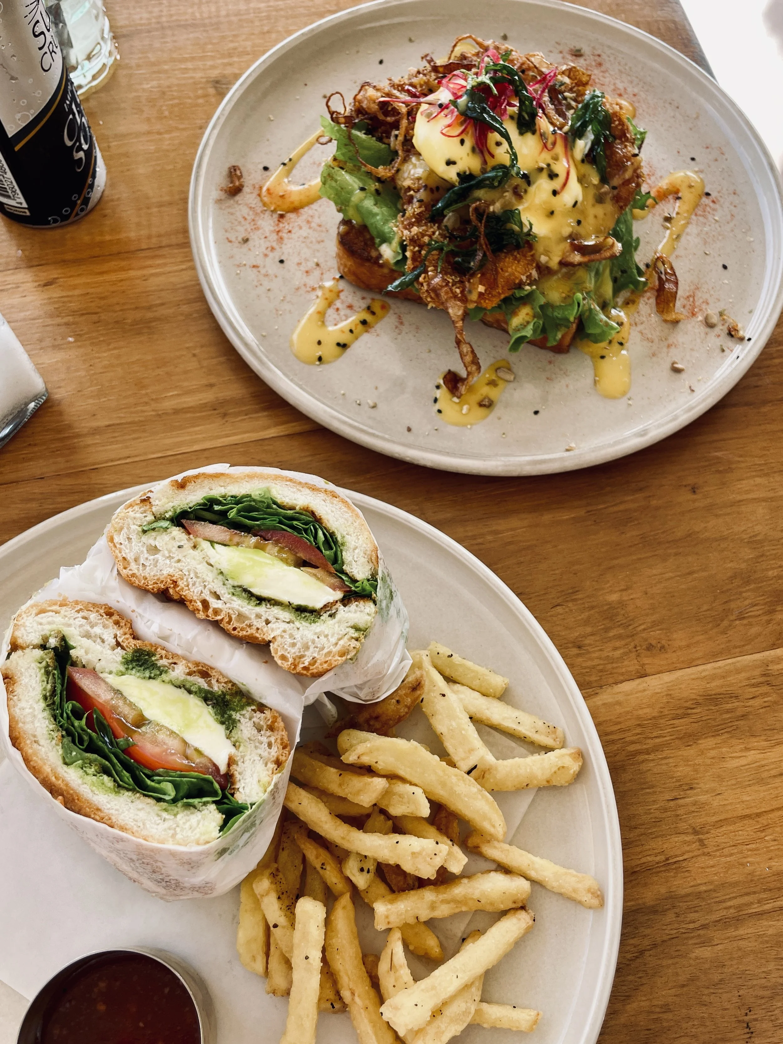 Cactus, Ahangama, Sri Lanka