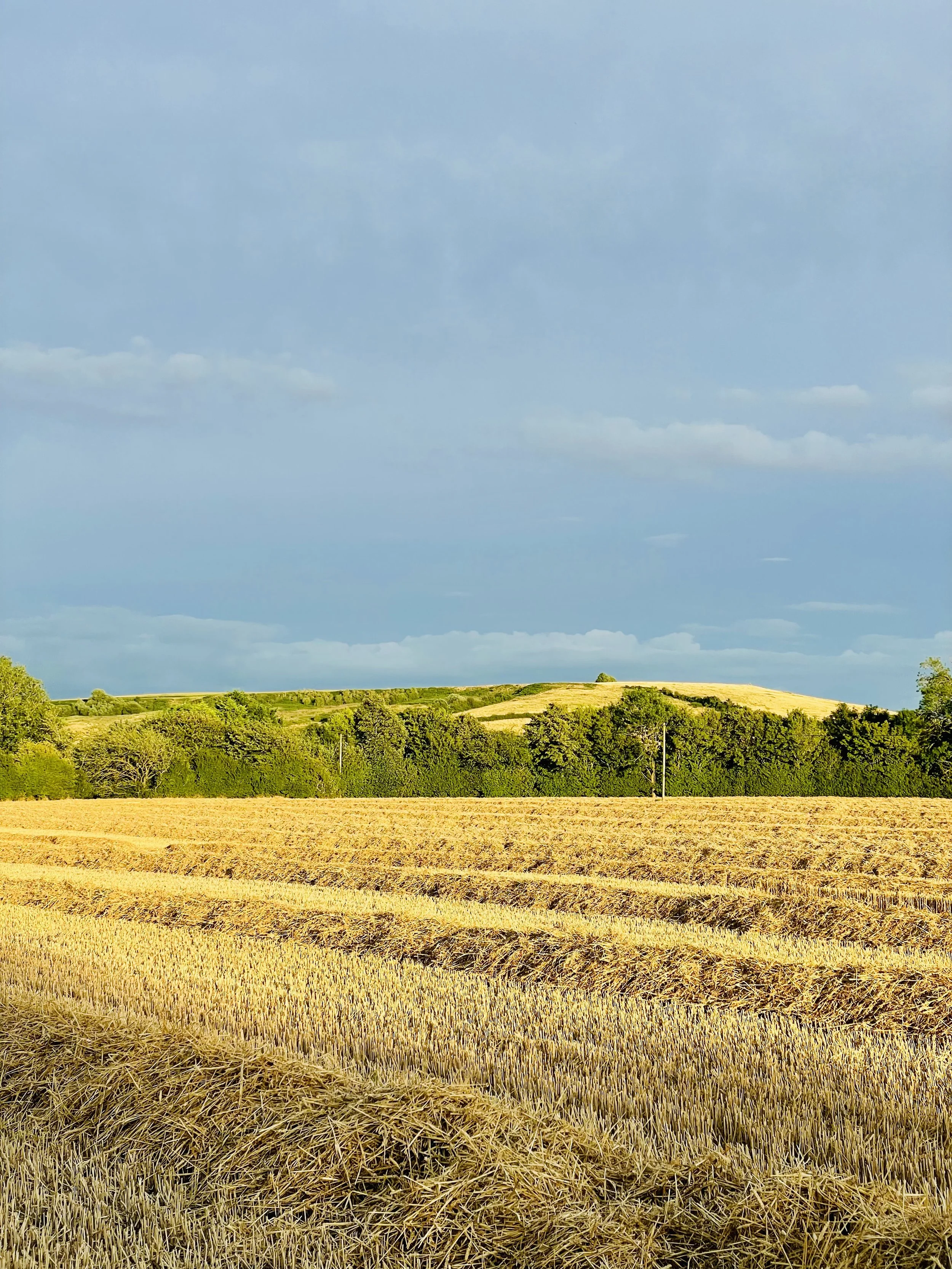 Lincolnshire Wolds