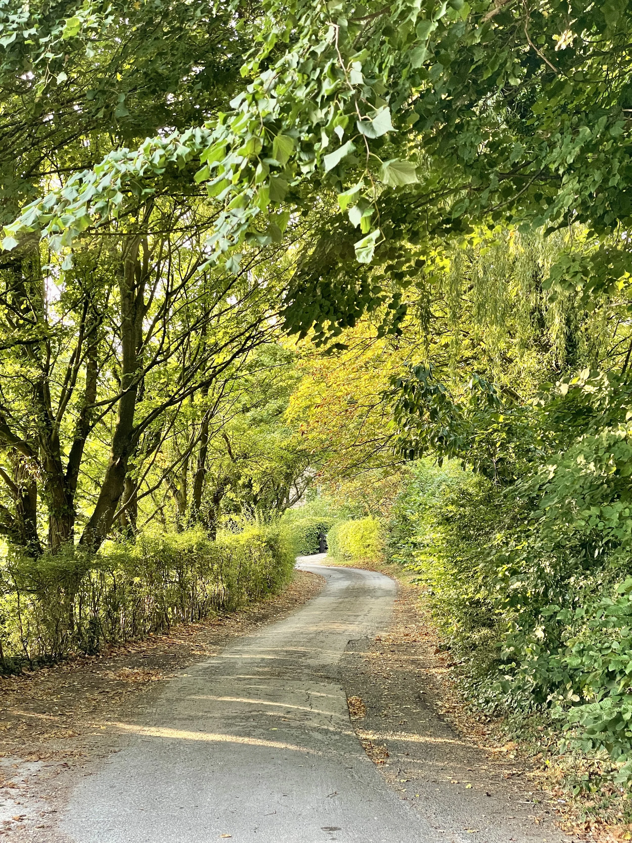 Lincolnshire Wolds