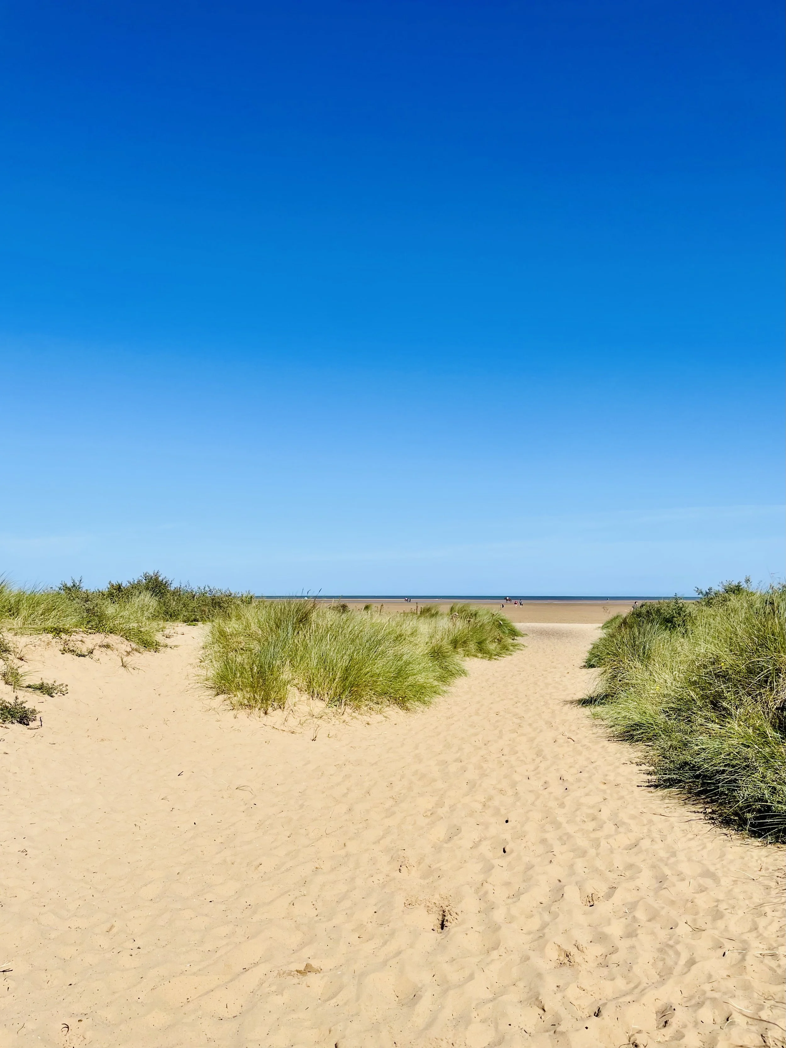 Theddlethorpe Dunes, Lincolnshire