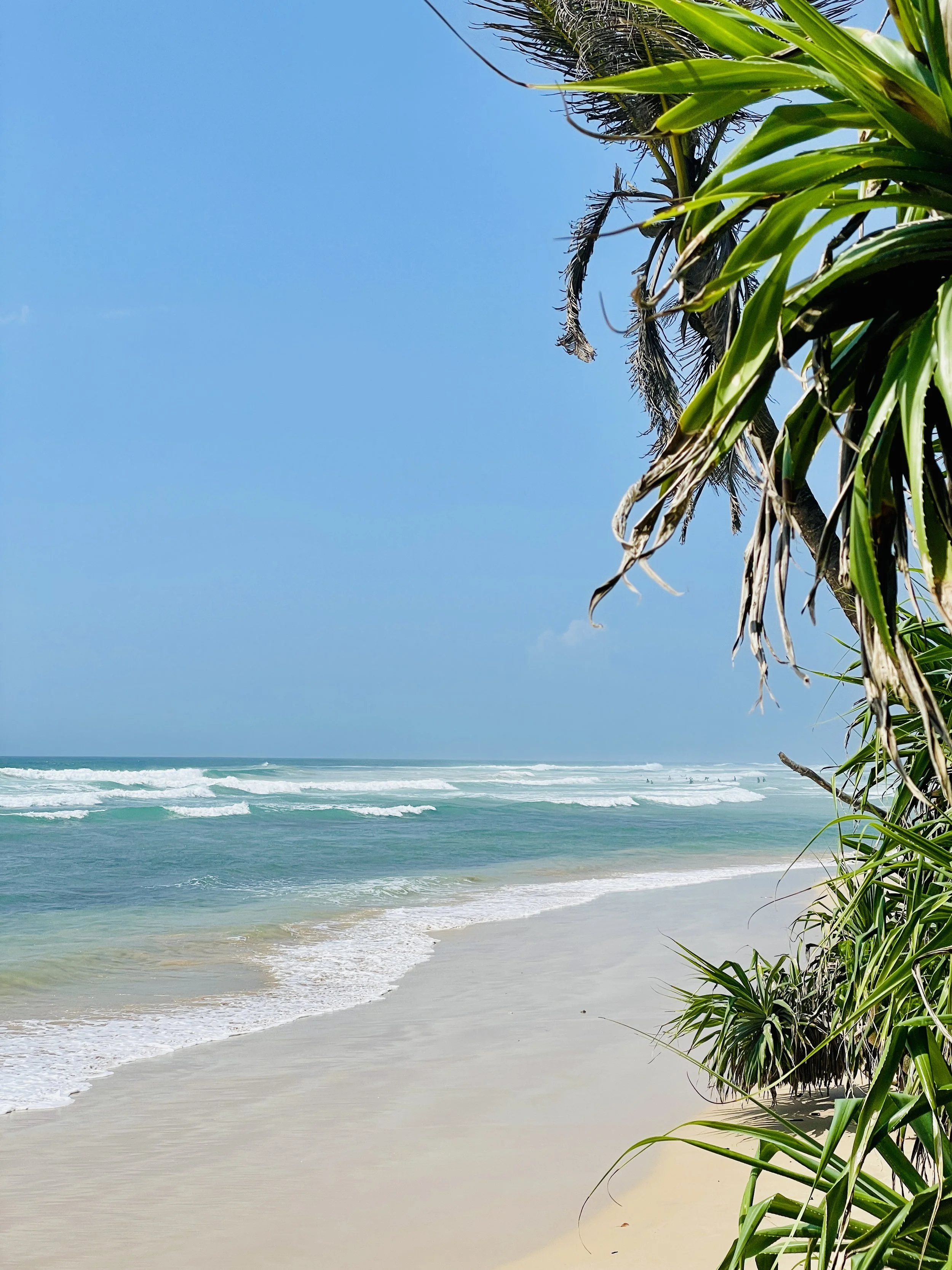 The Find Hotel, Ahangama, Sri Lanka