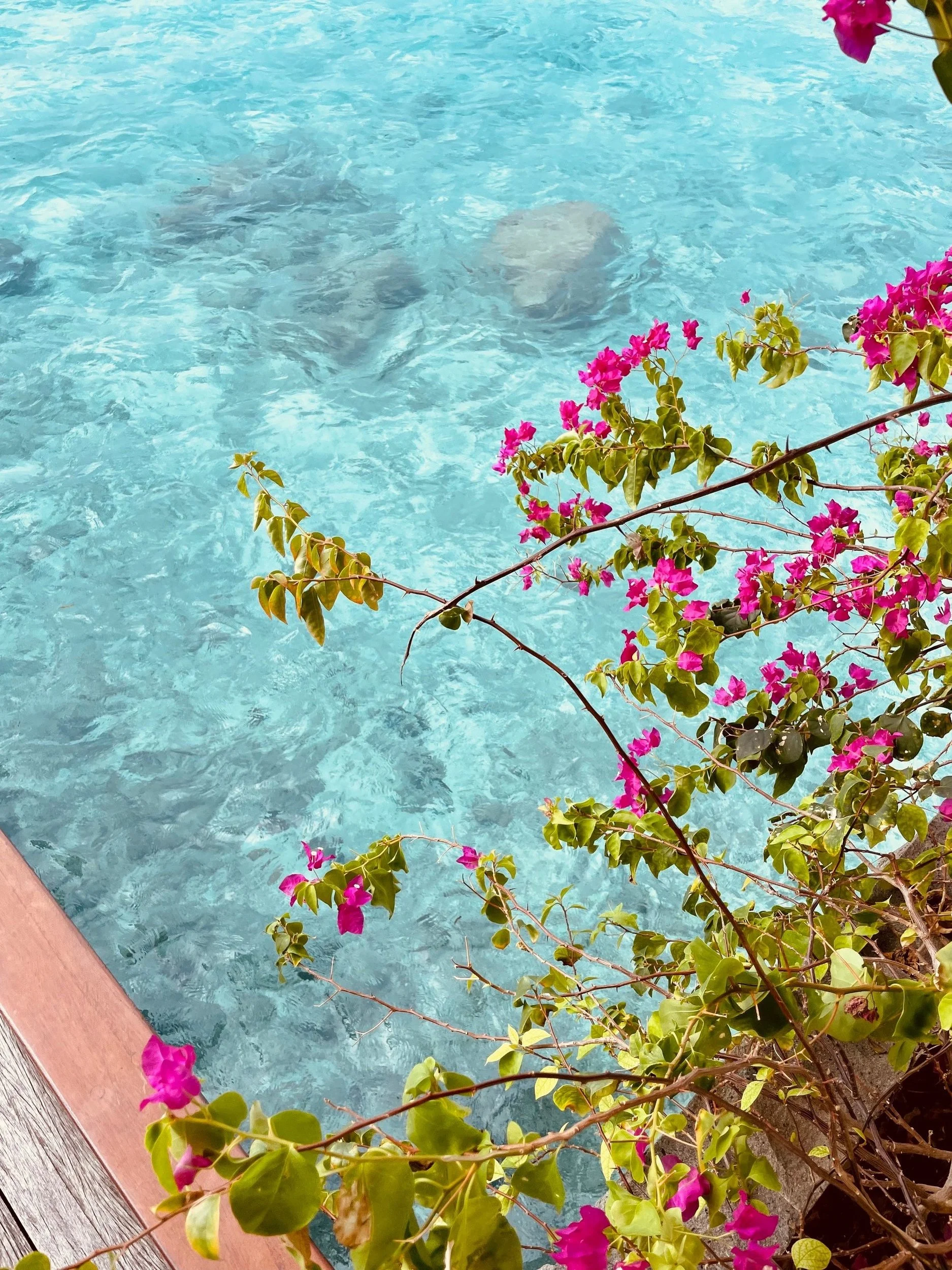Maldives