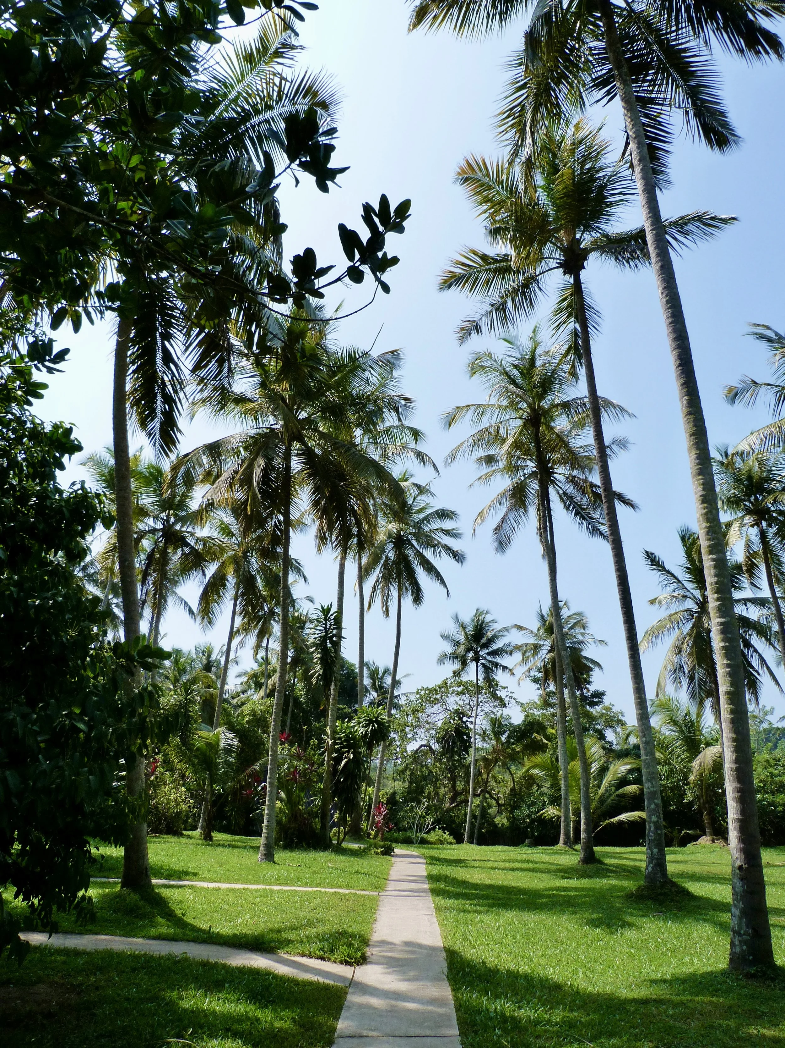 PALM Hotel, Sri Lanka