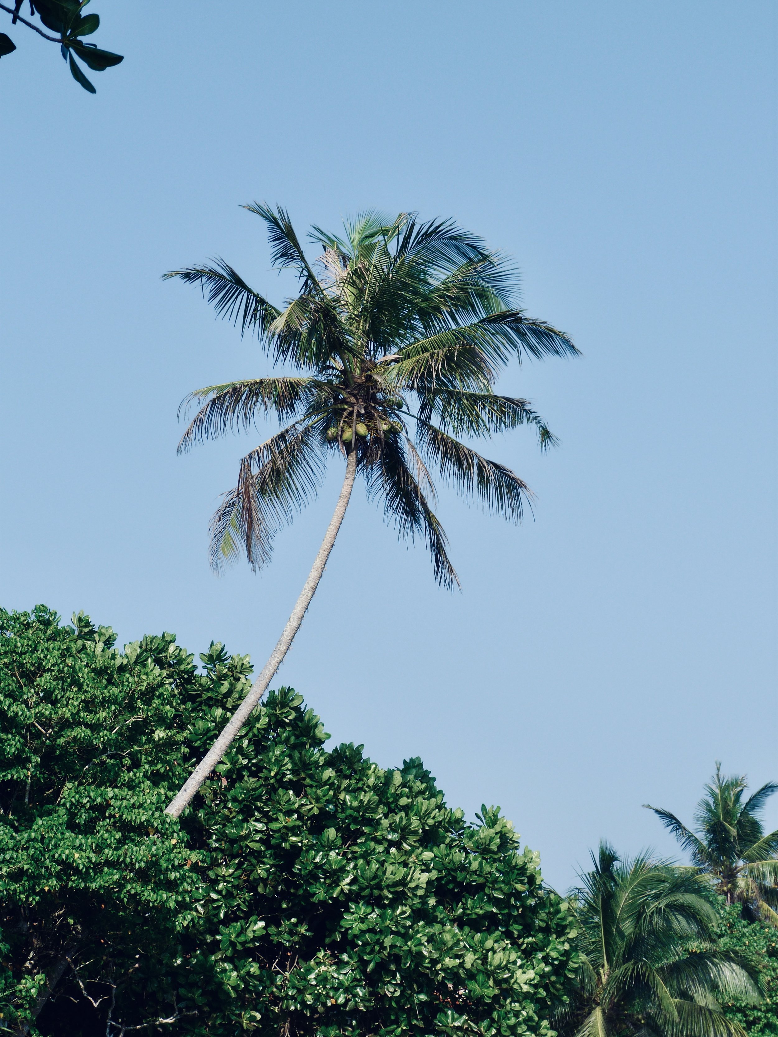 Secret Beach, Sri Lanka