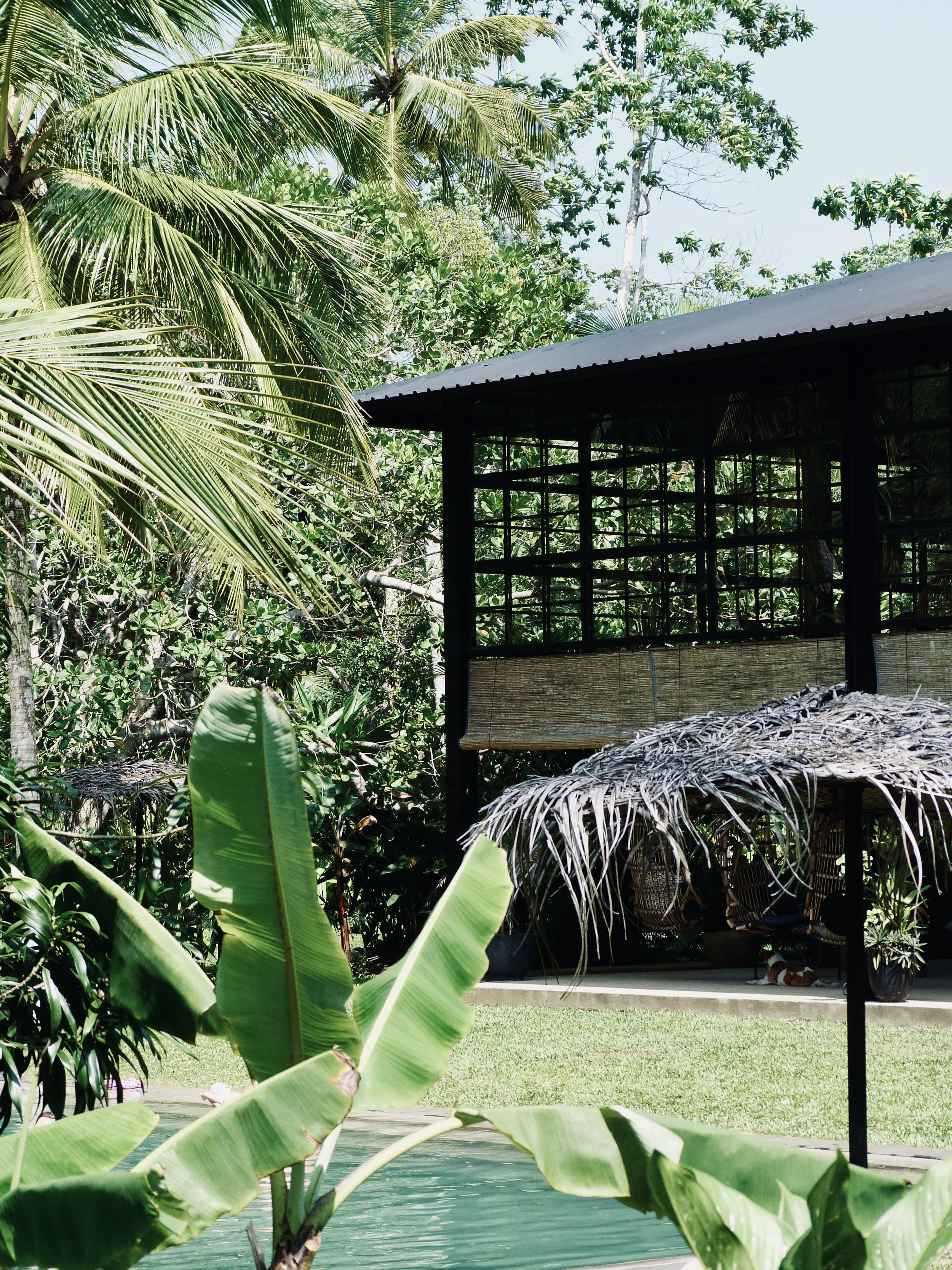 PALM Hotel, Sri Lanka – Full Review