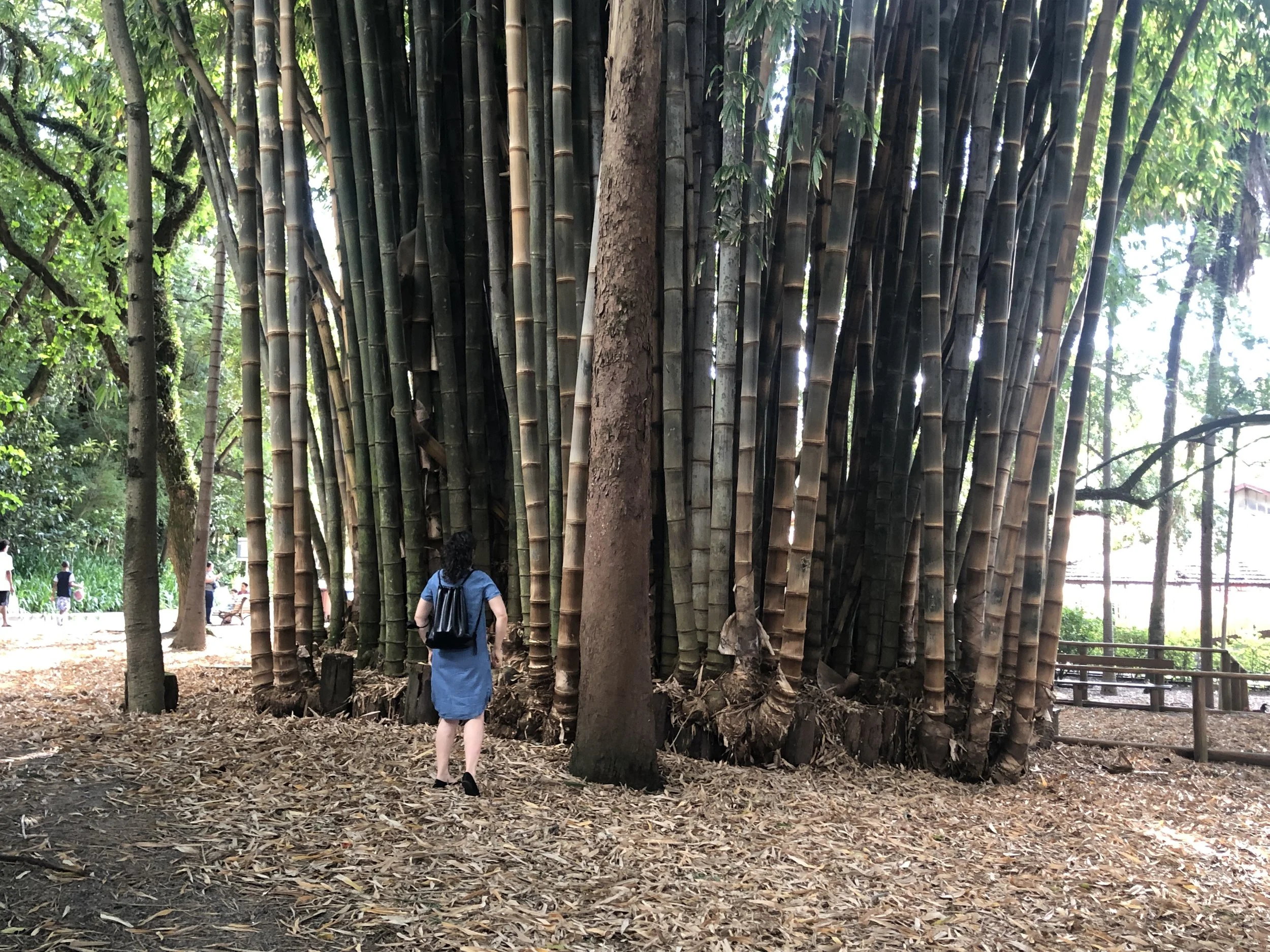 Park_5467.JPG