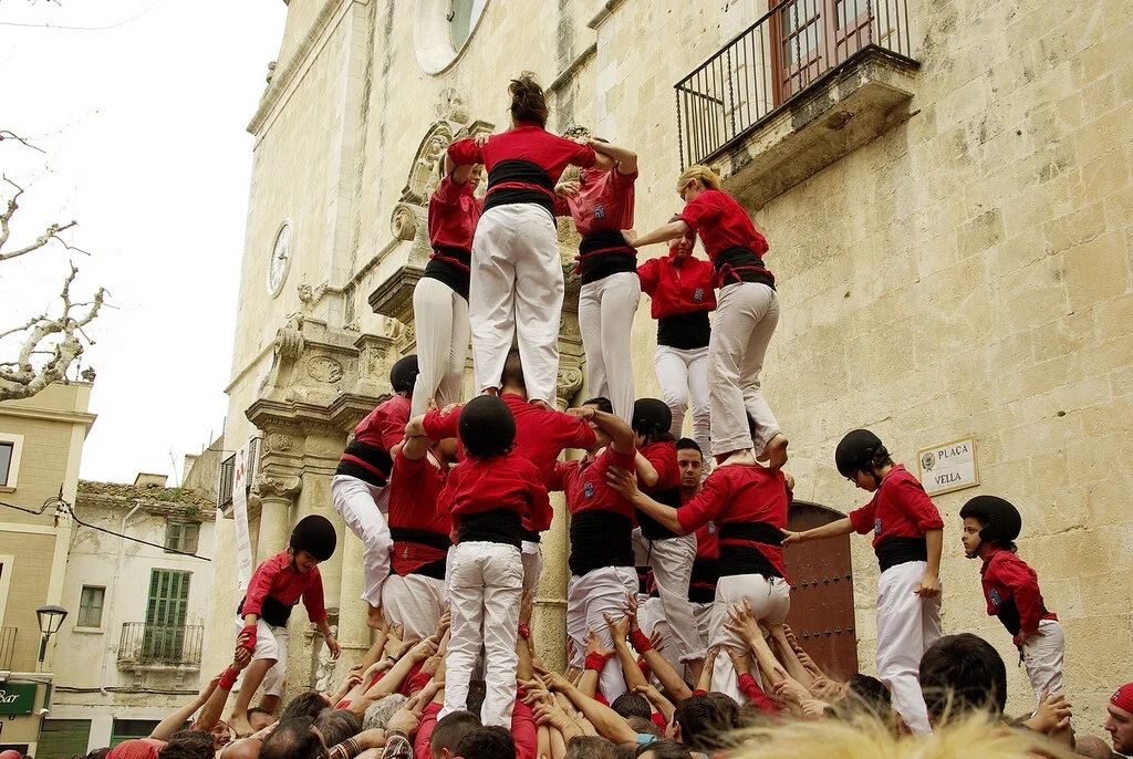 Building Back Better