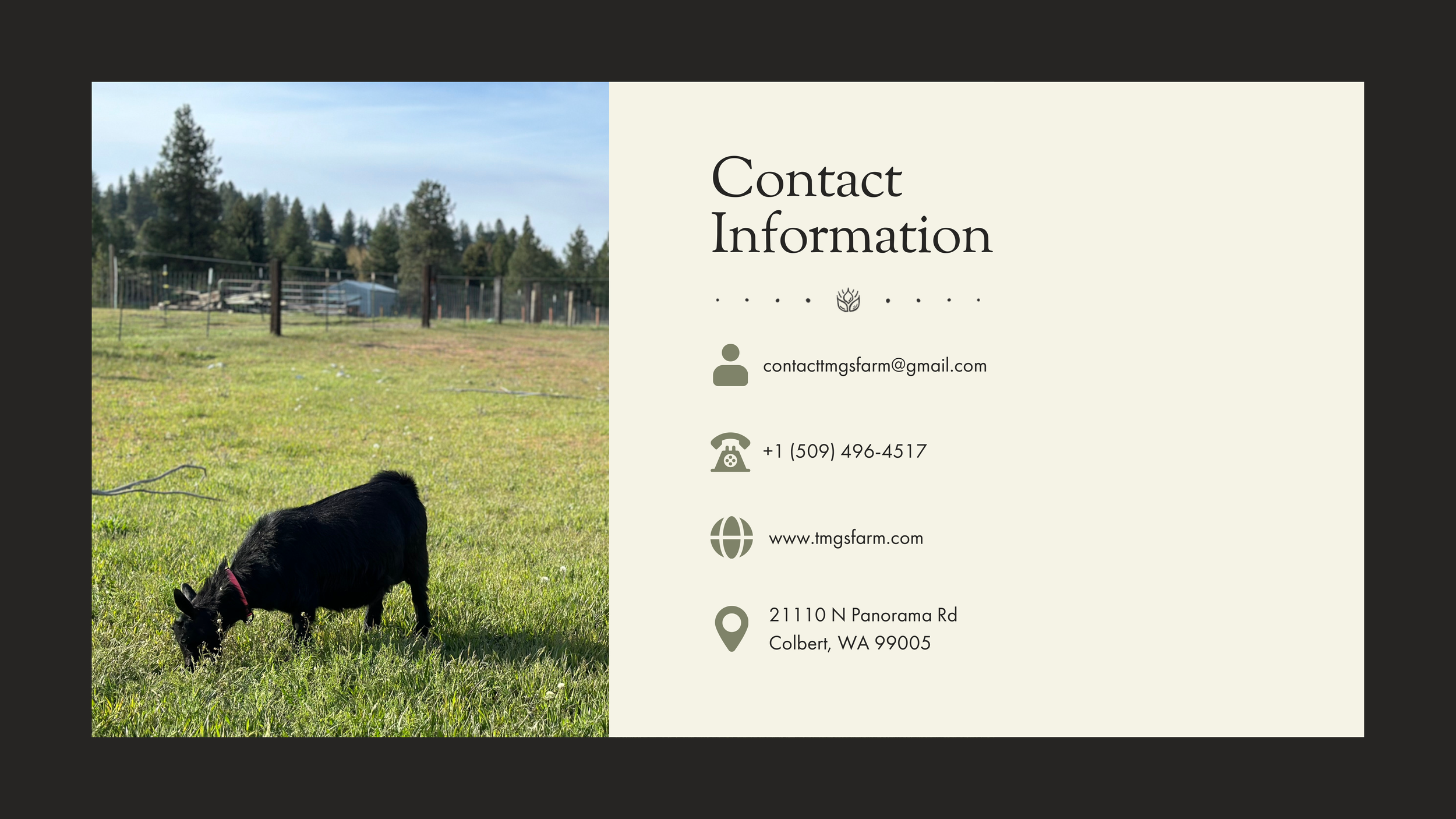 Totes Ma Goats Brand Guidelines-14.png